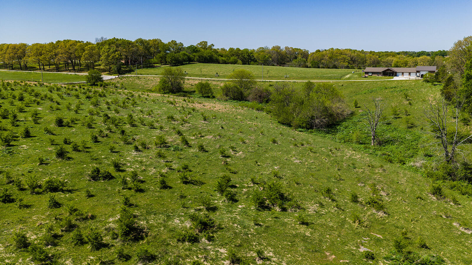 Photo 4 - Land for sale – Lot 1  Muskego Road  Nixa, MO