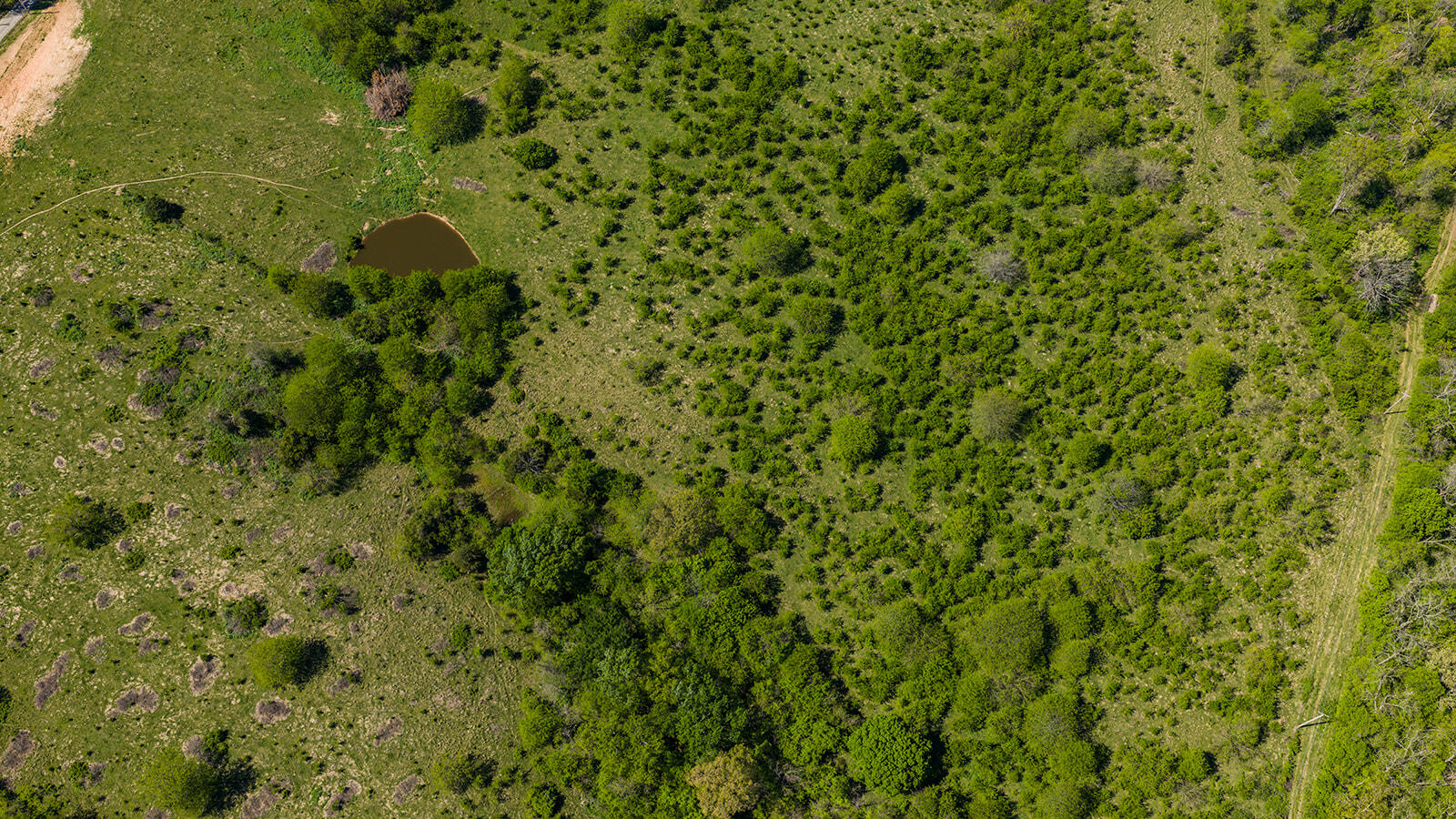 Photo 6 - Land for sale – Lot 1  Muskego Road  Nixa, MO