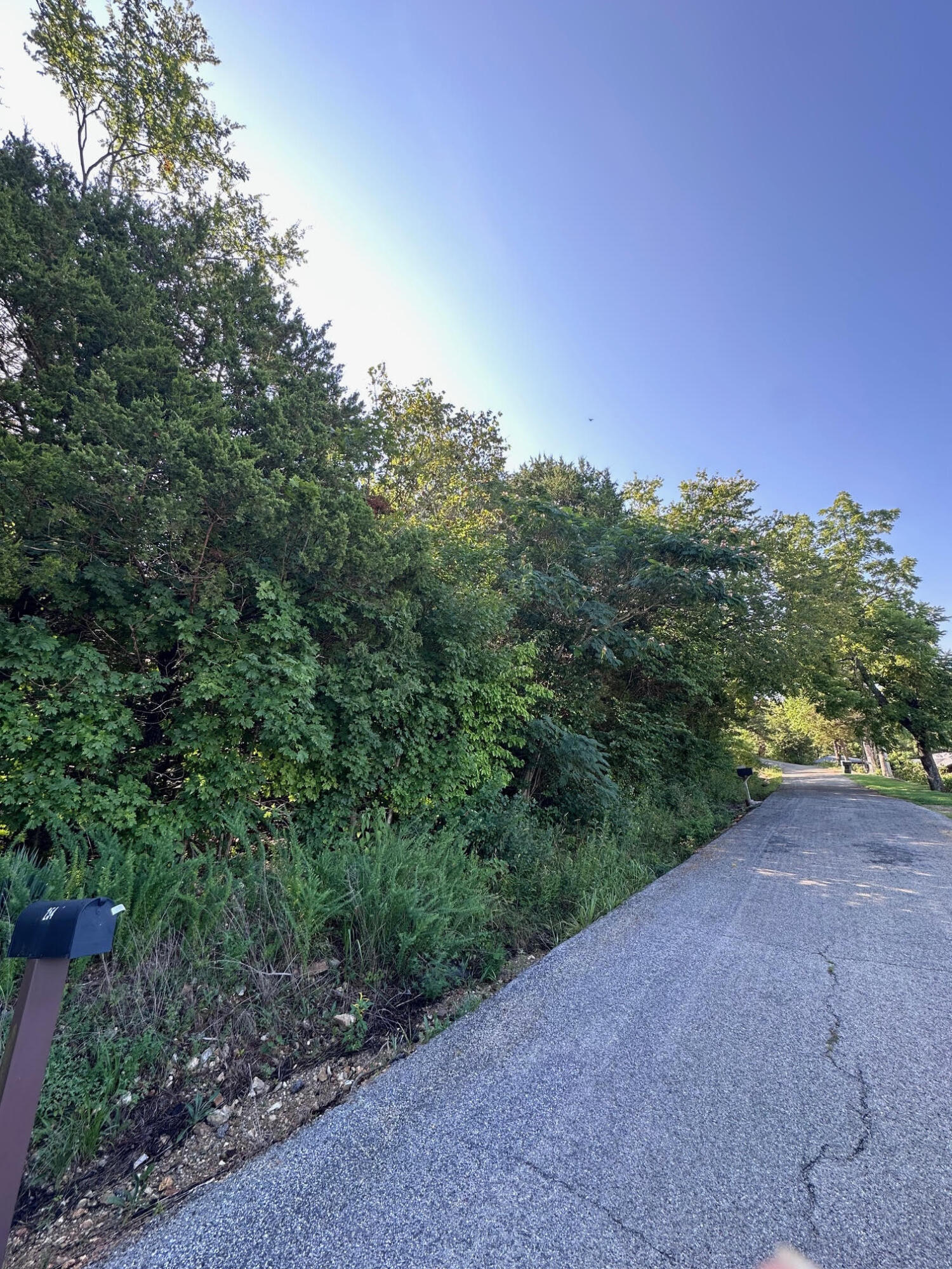 Photo 3 - Land for sale – 000  Hillsboro Drive   Galena, MO