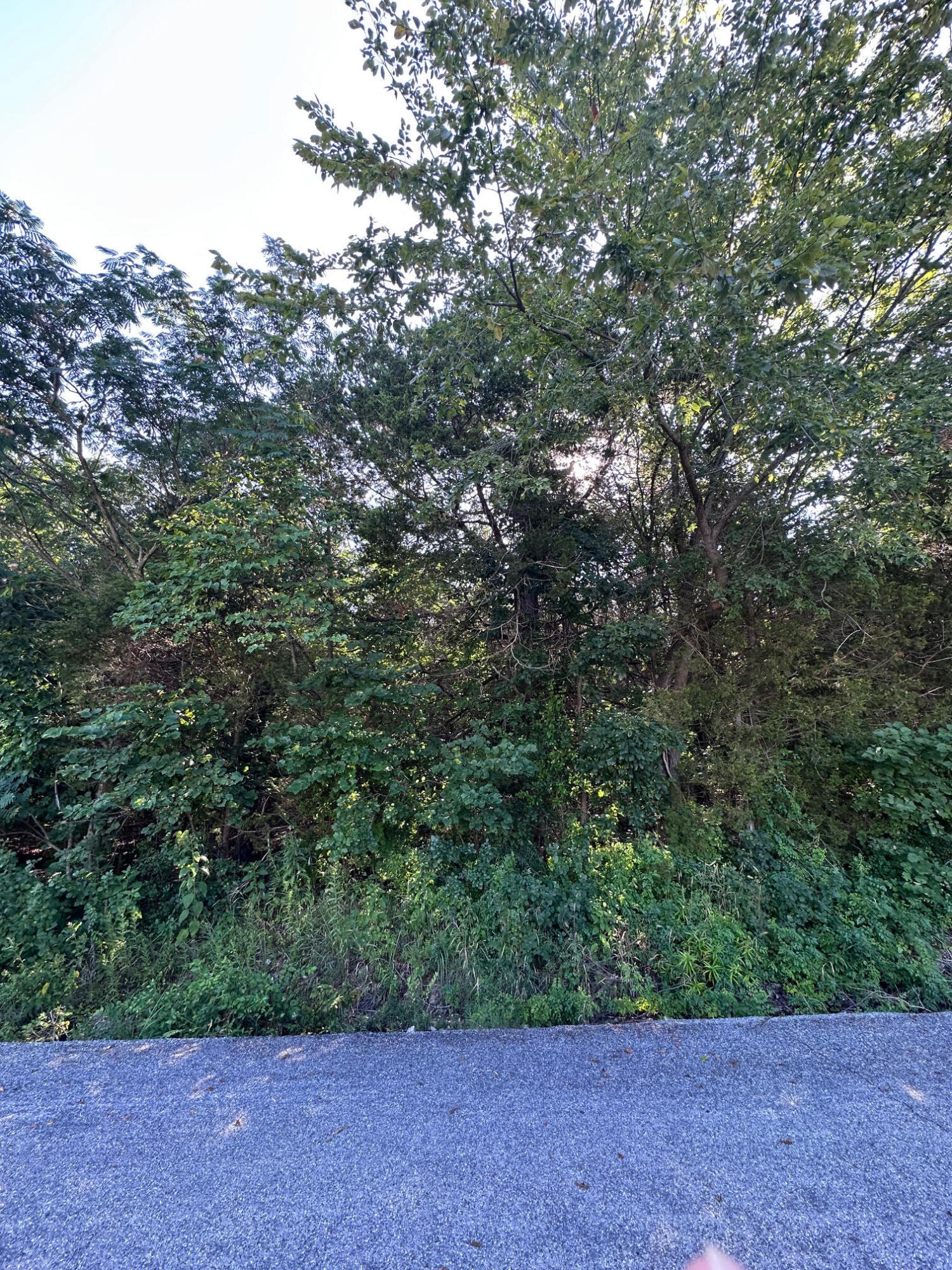 Photo 4 - Land for sale – 000  Hillsboro Drive   Galena, MO