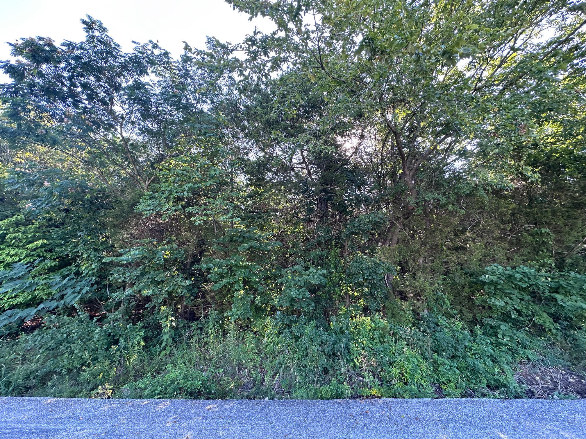 Photo 5 - Land for sale – 000  Hillsboro Drive   Galena, MO