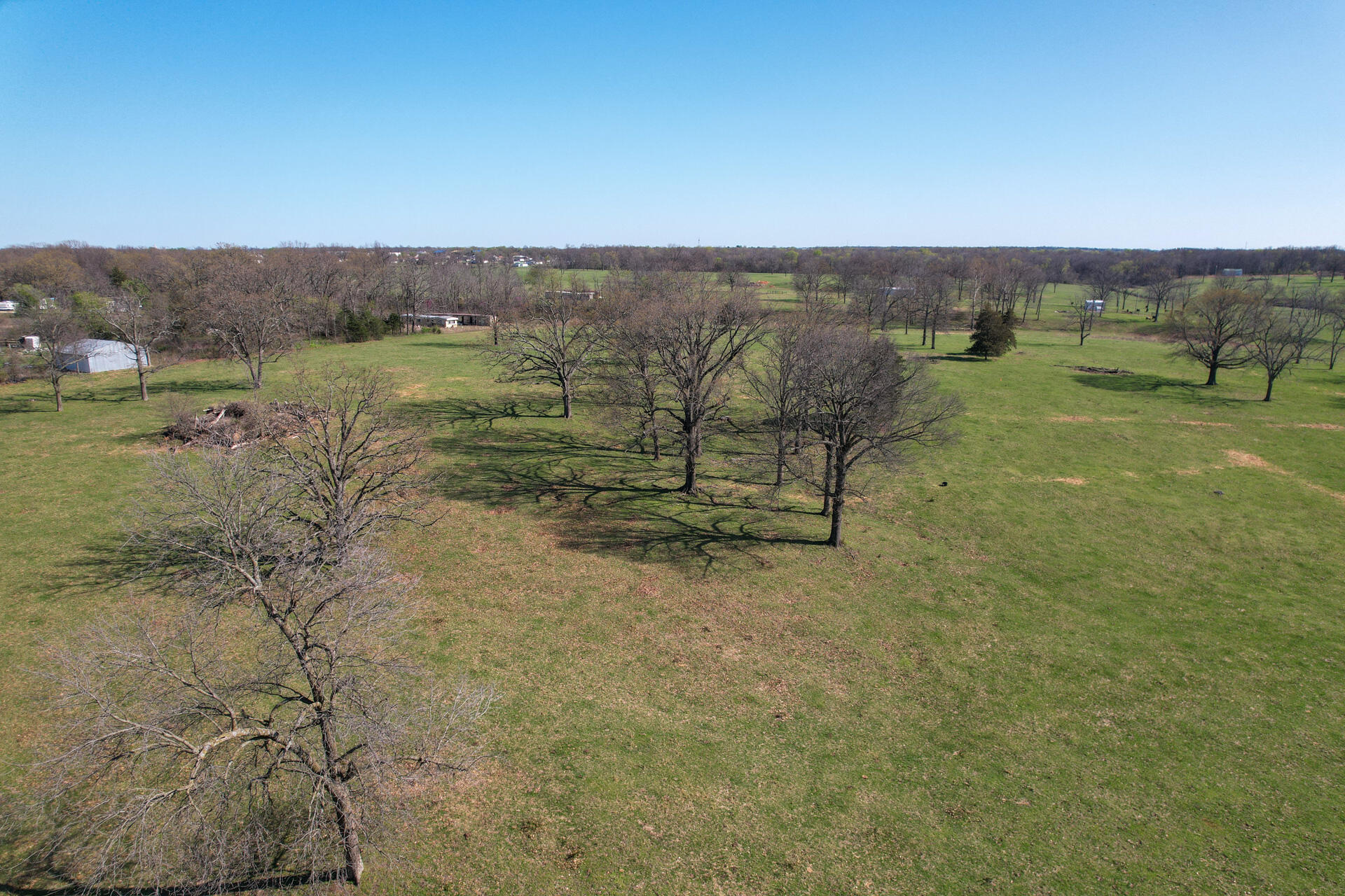 Photo 17 - Land for sale – 00  Palm Road  Neosho, MO