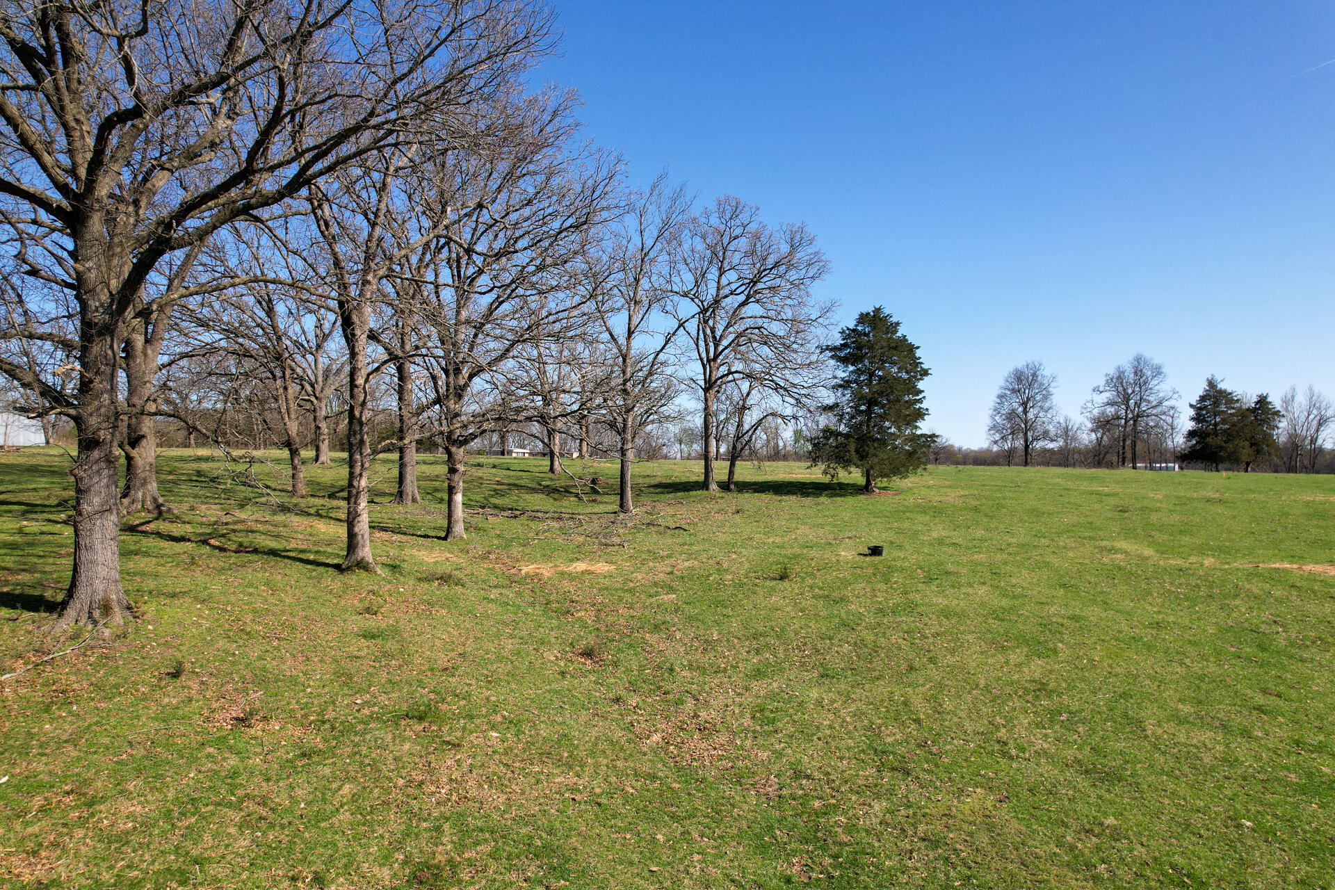 Photo 19 - Land for sale – 00  Palm Road  Neosho, MO