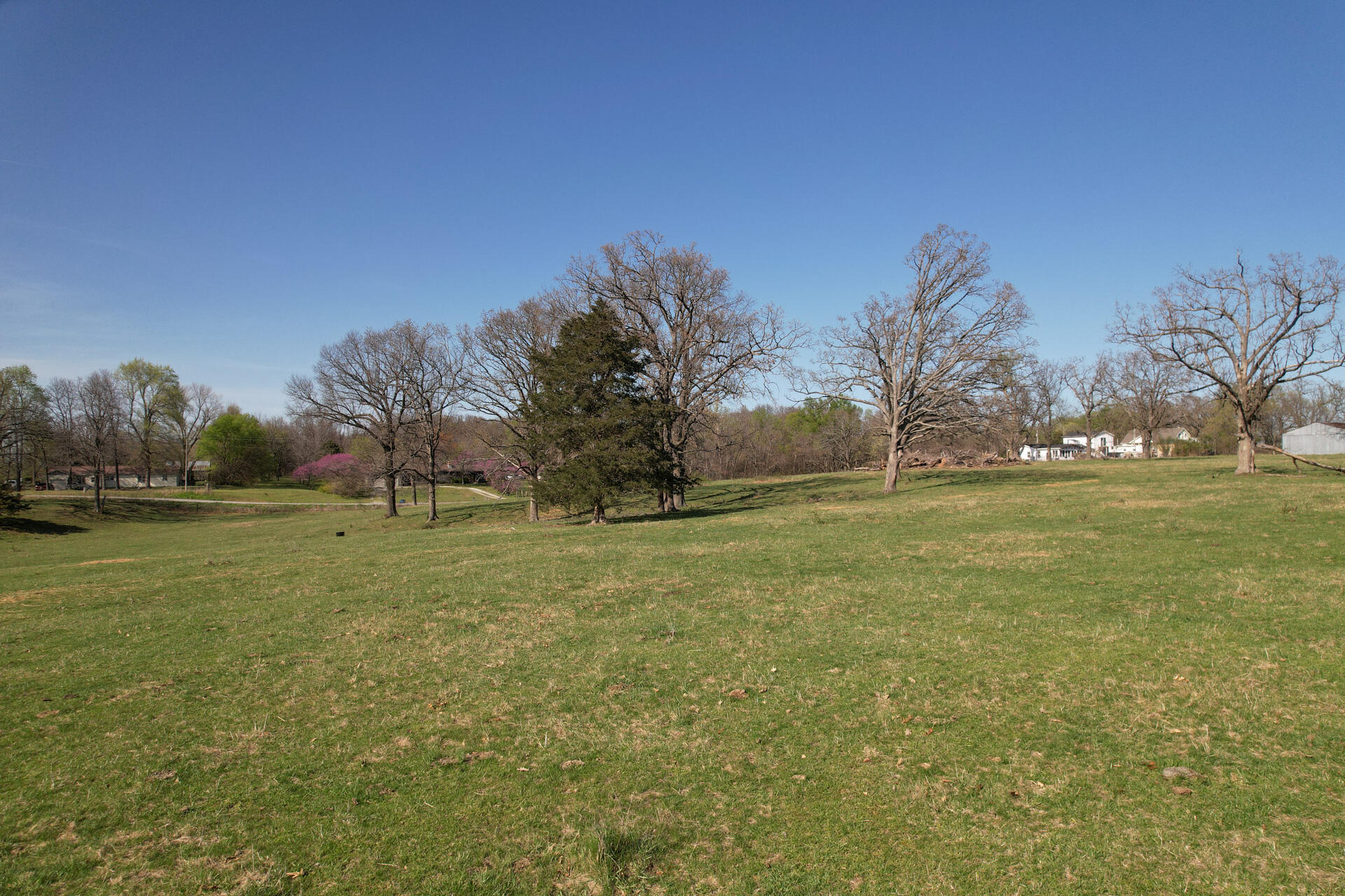 Photo 22 - Land for sale – 00  Palm Road  Neosho, MO