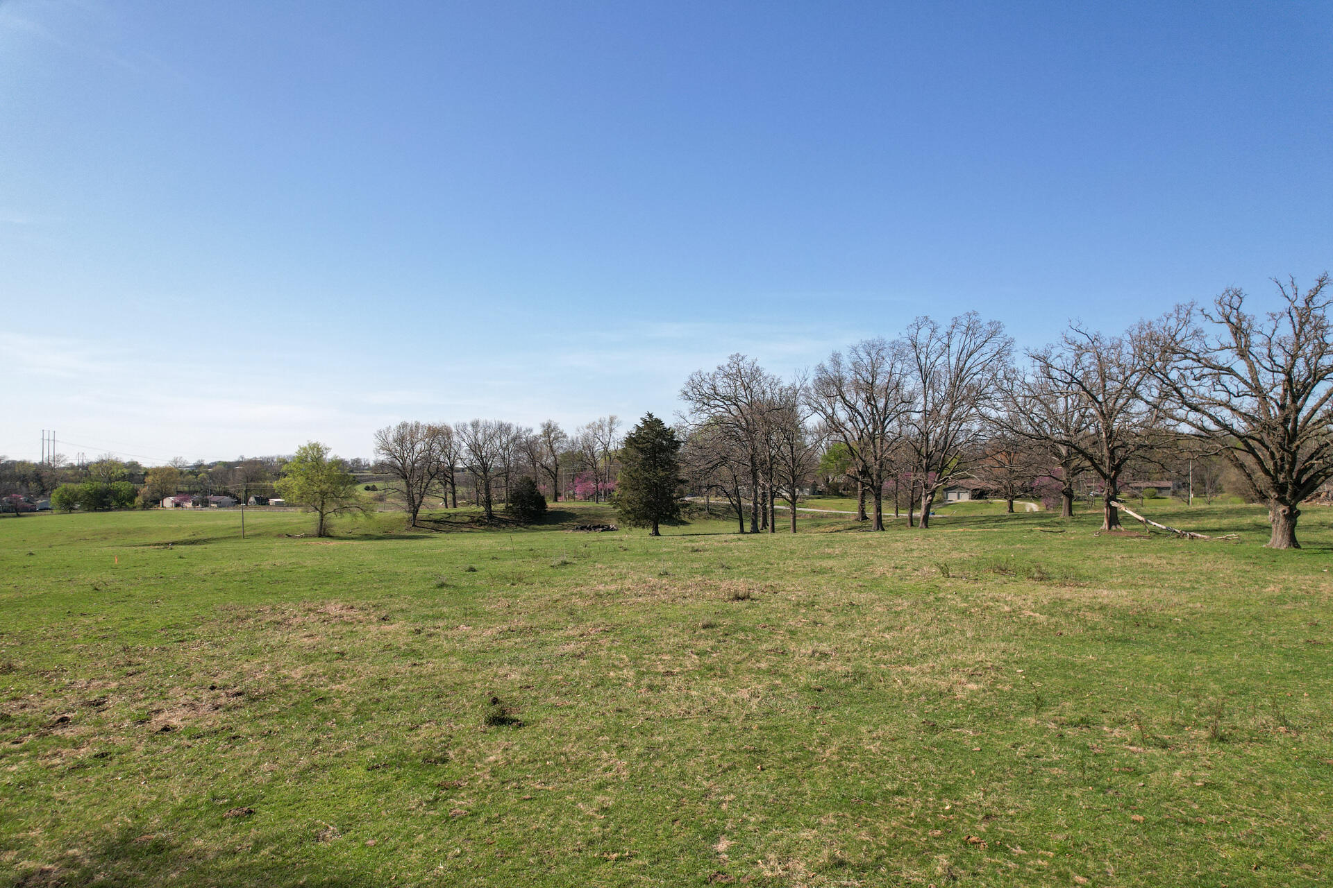 Photo 14 - Land for sale – 00  Palm Road  Neosho, MO