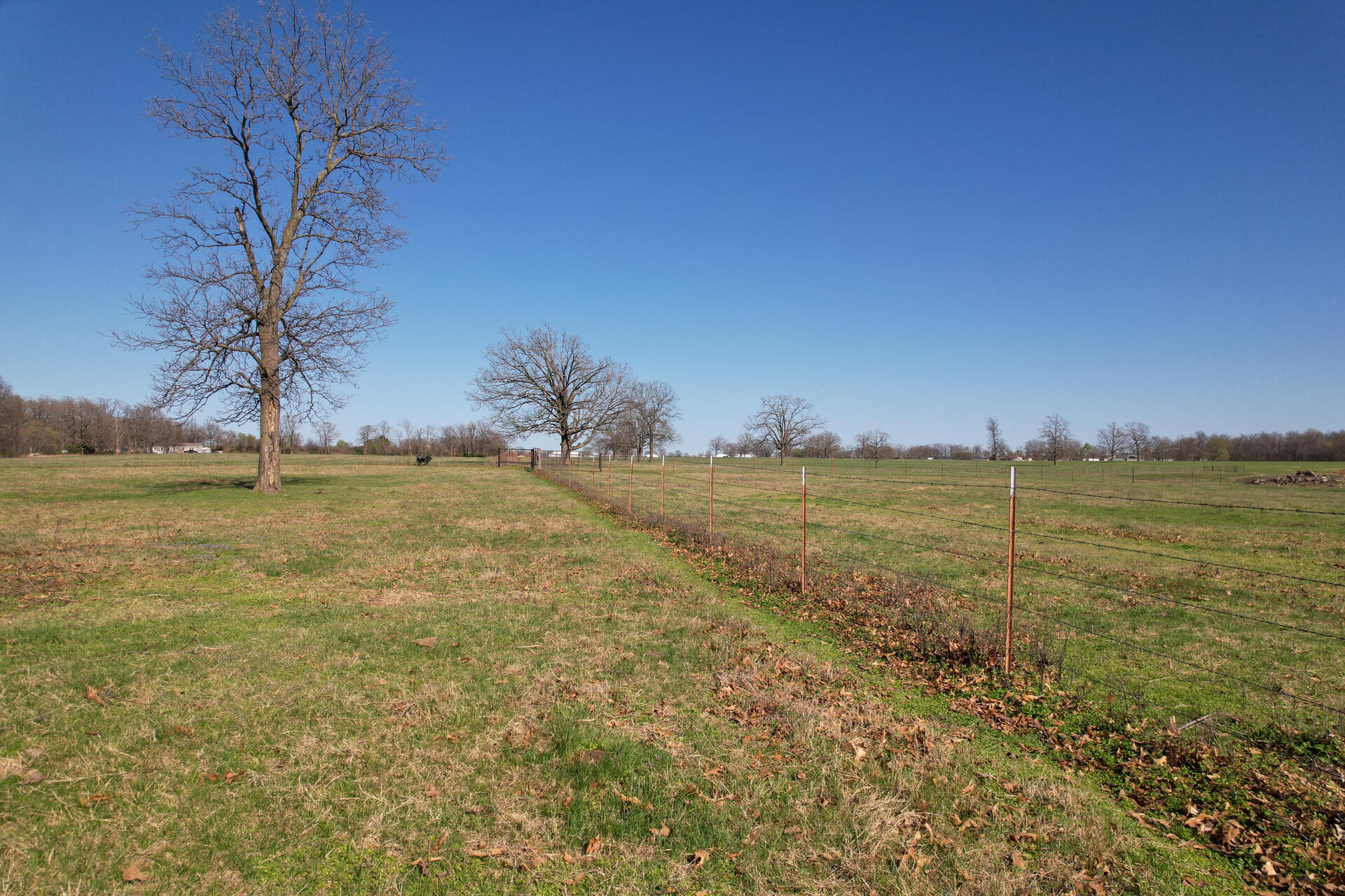 Photo 23 - Land for sale – 00  Palm Road  Neosho, MO