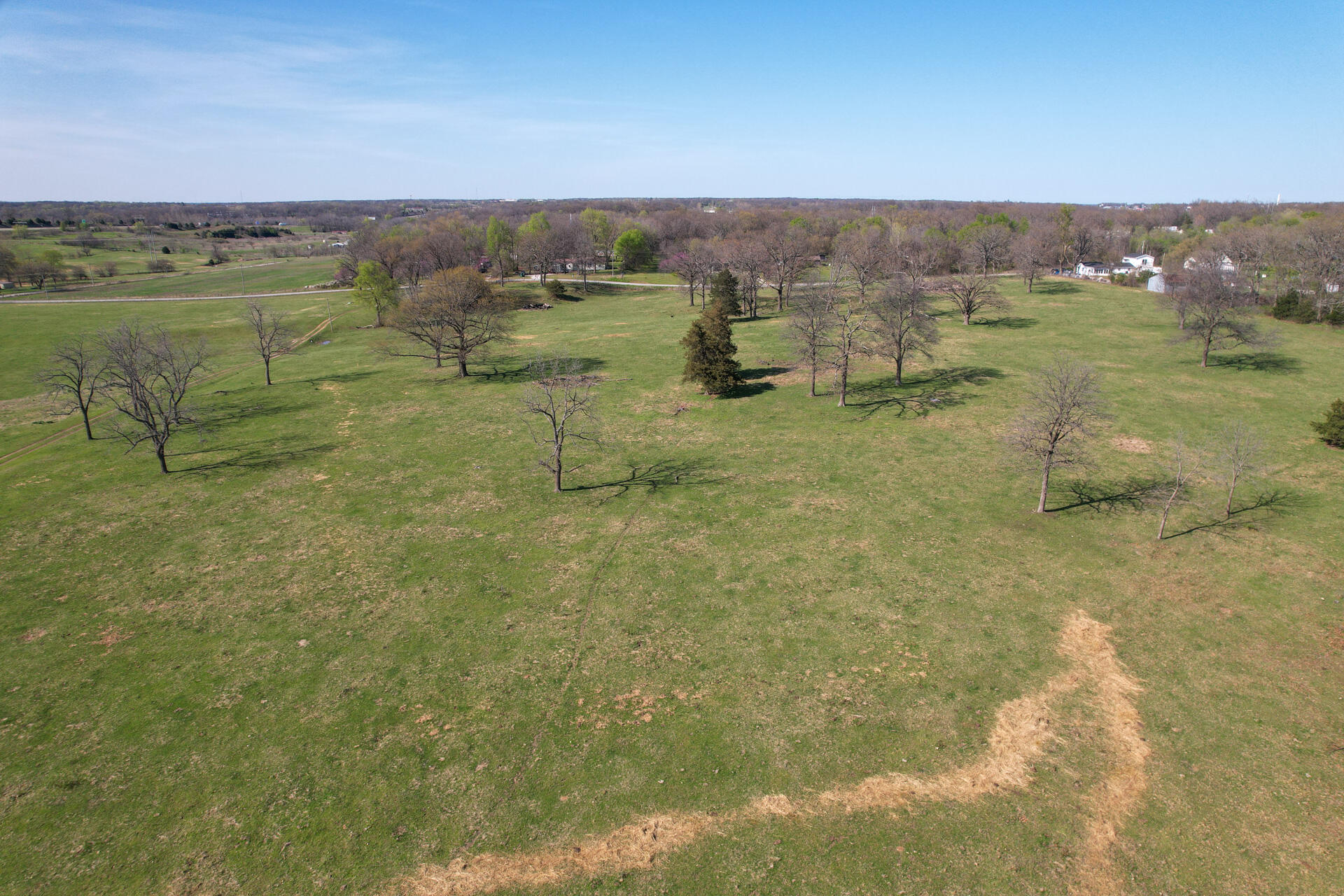 Photo 12 - Land for sale – 00  Palm Road  Neosho, MO