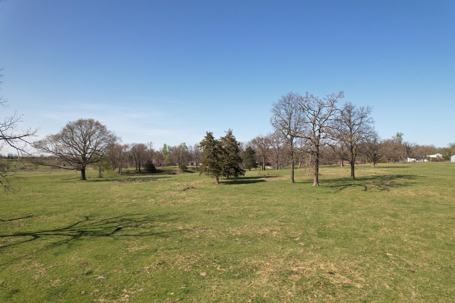 Photo 13 - Land for sale – 00  Palm Road  Neosho, MO