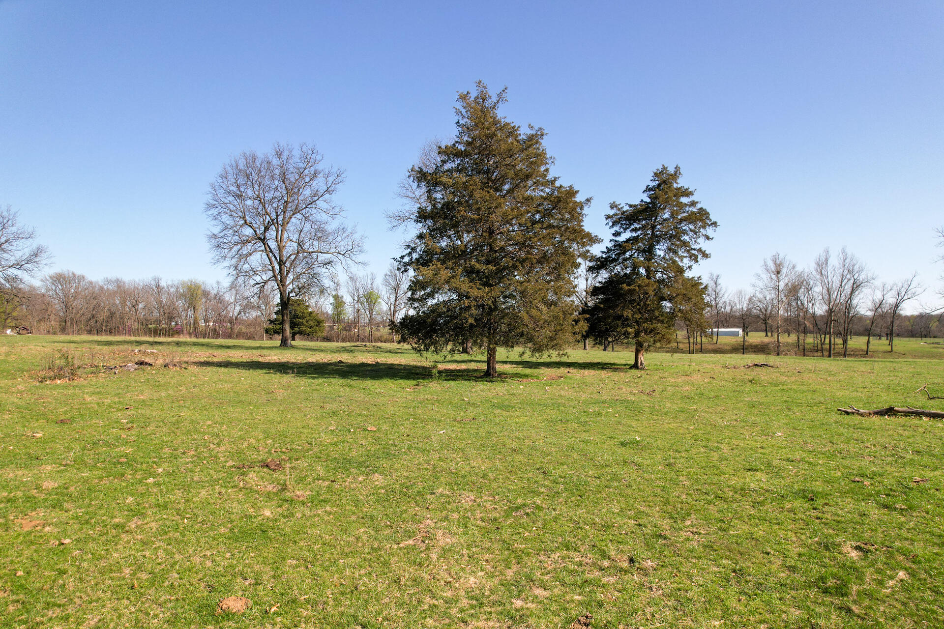 Photo 21 - Land for sale – 00  Palm Road  Neosho, MO