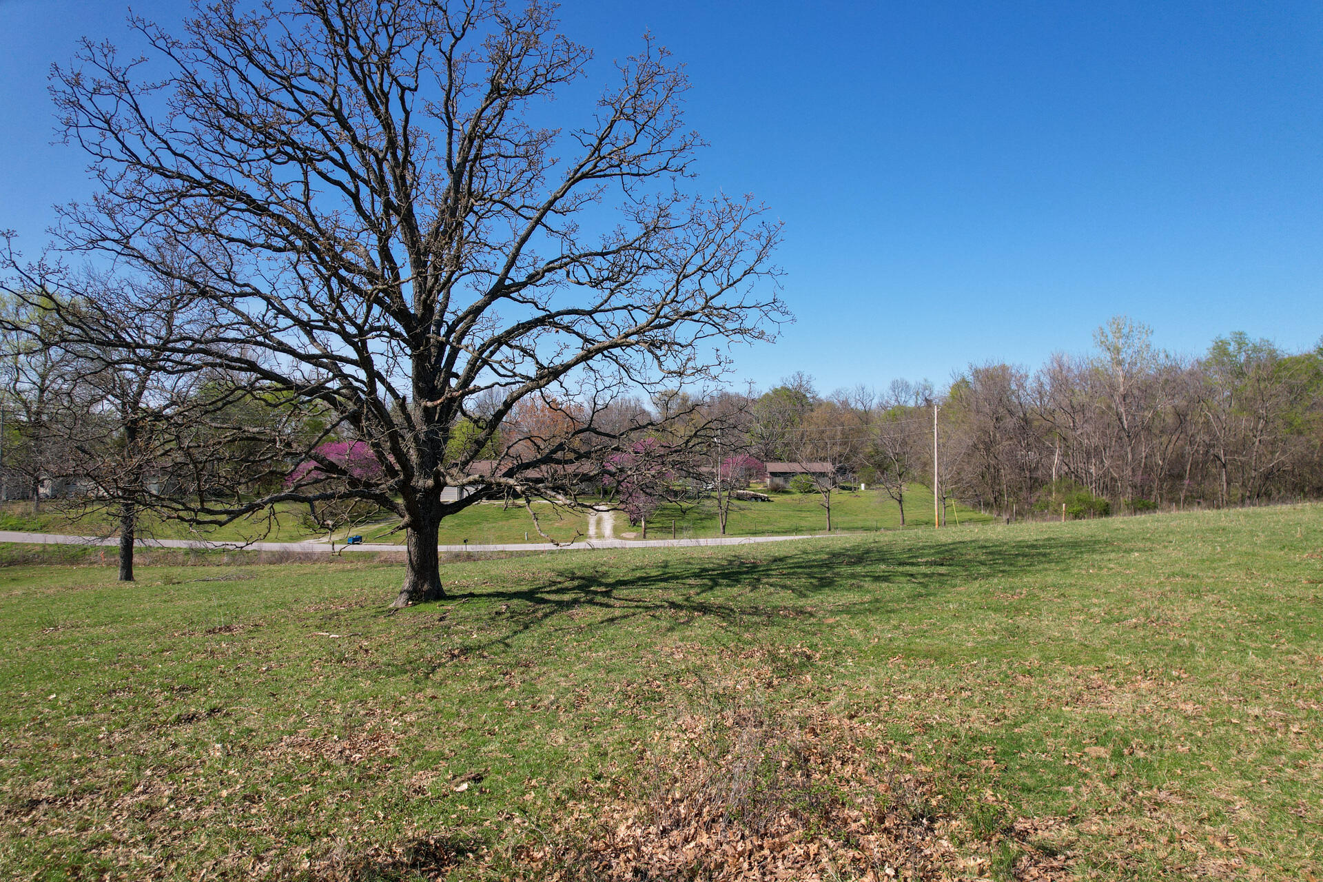 Photo 16 - Land for sale – 00  Palm Road  Neosho, MO