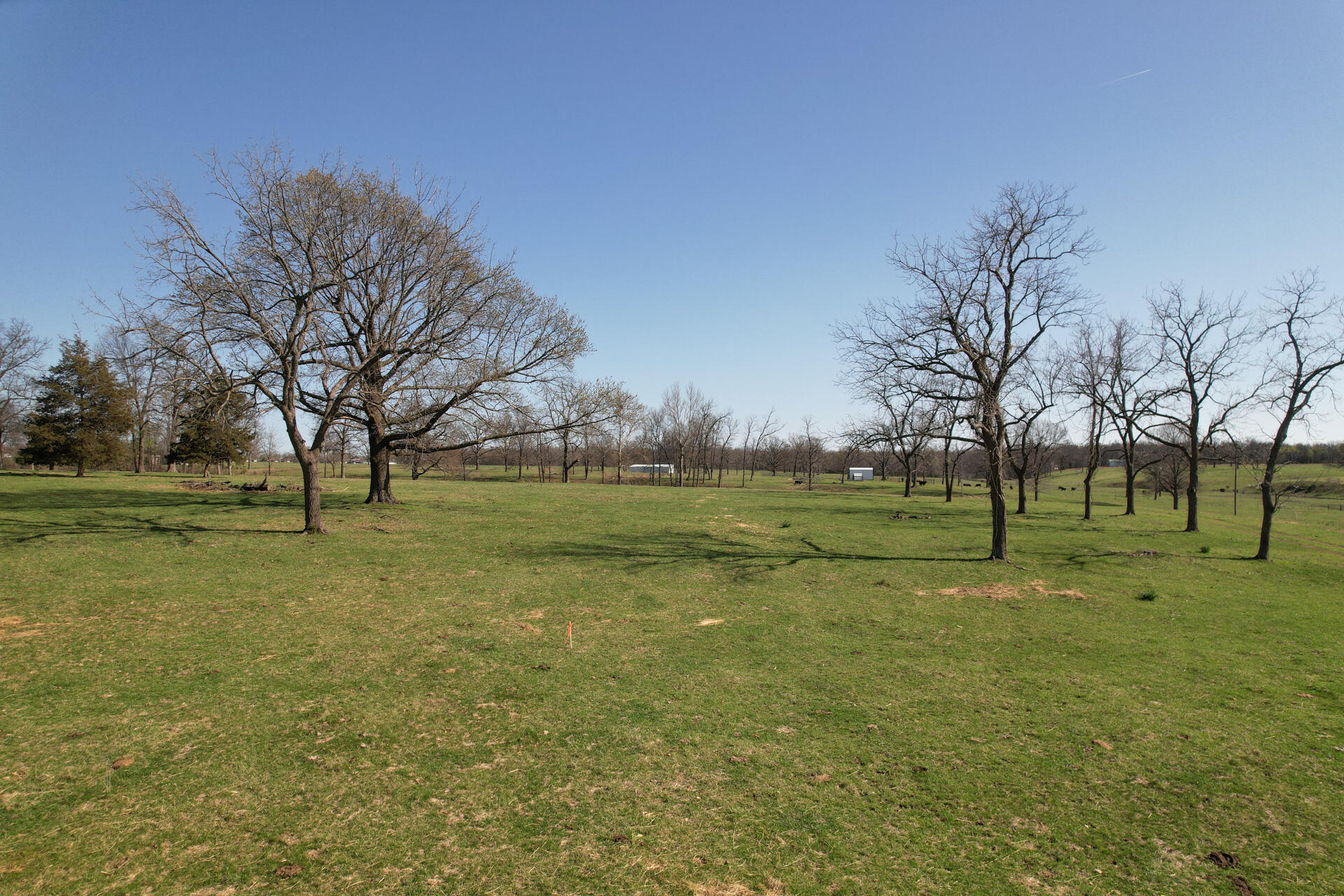 Photo 20 - Land for sale – 00  Palm Road  Neosho, MO