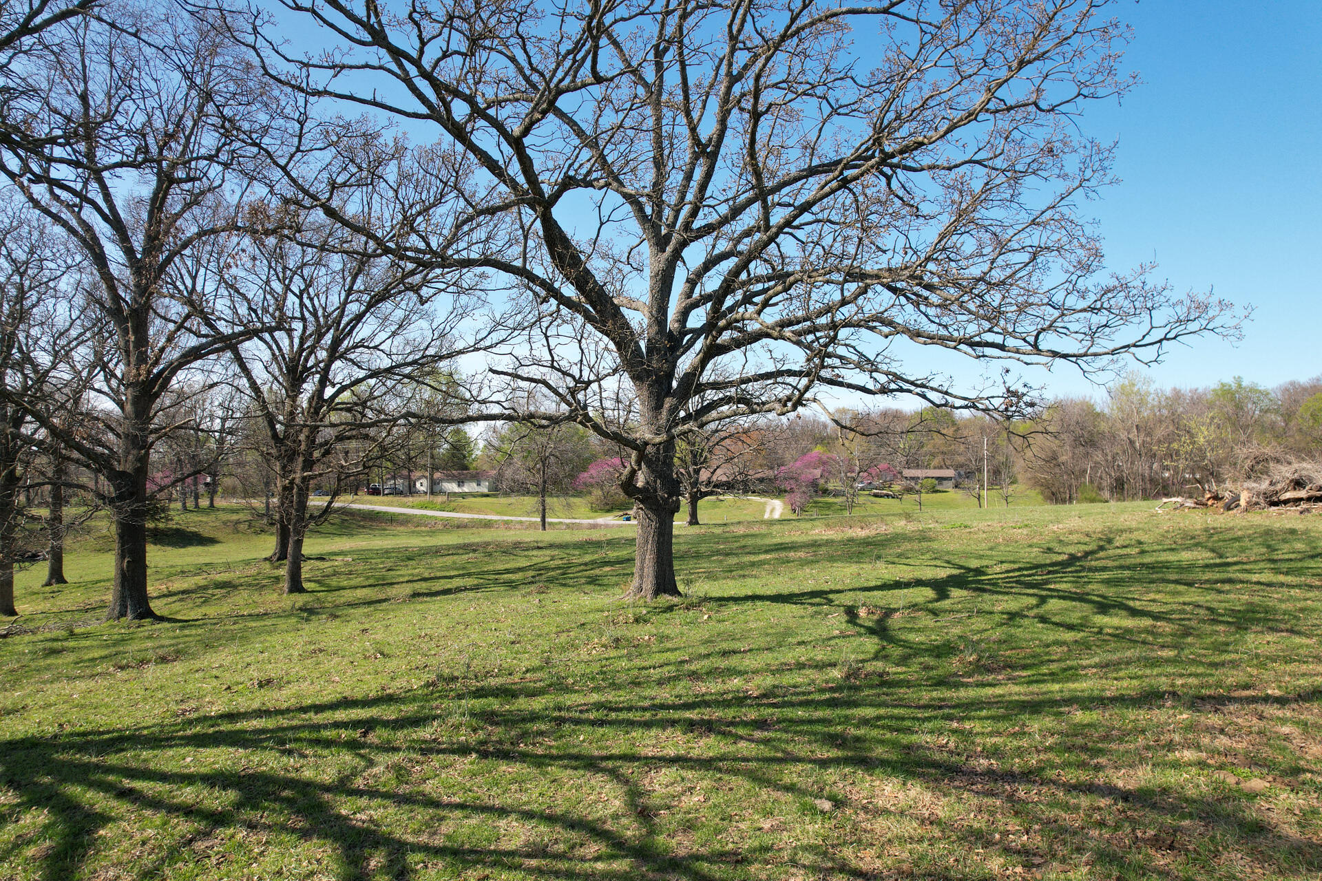 Photo 15 - Land for sale – 00  Palm Road  Neosho, MO