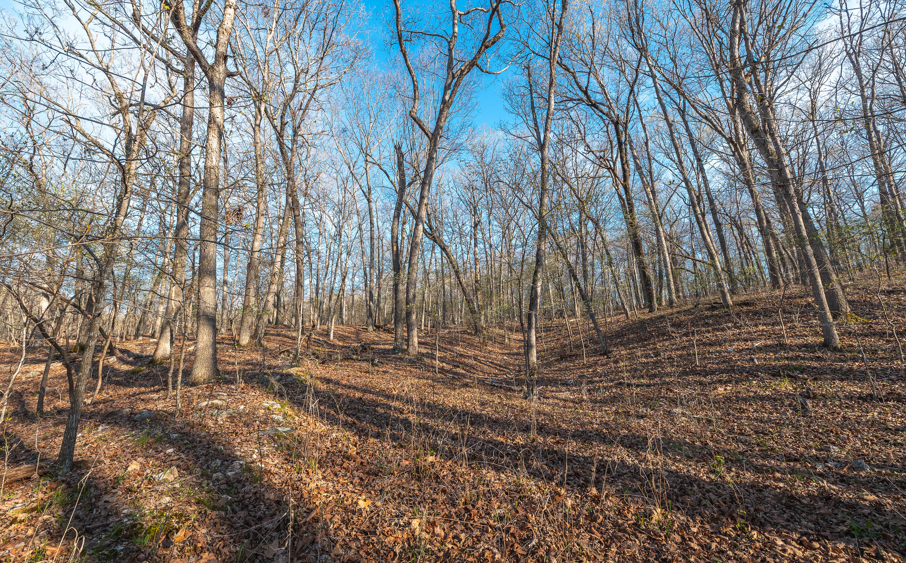 Photo 30 - Land for sale – 83  Minx Valley Drive  Roach, MO
