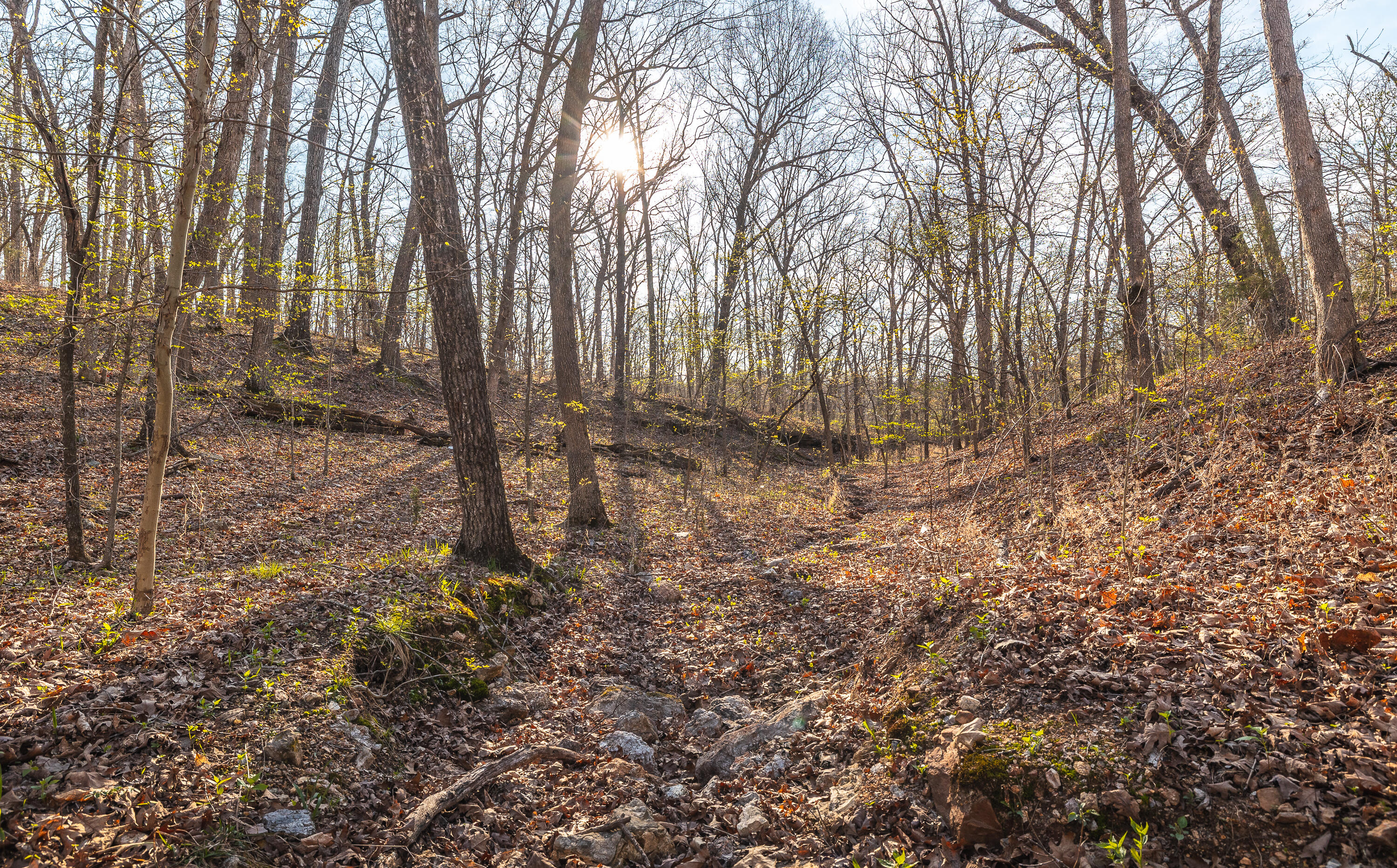 Photo 21 - Land for sale – 83  Minx Valley Drive  Roach, MO