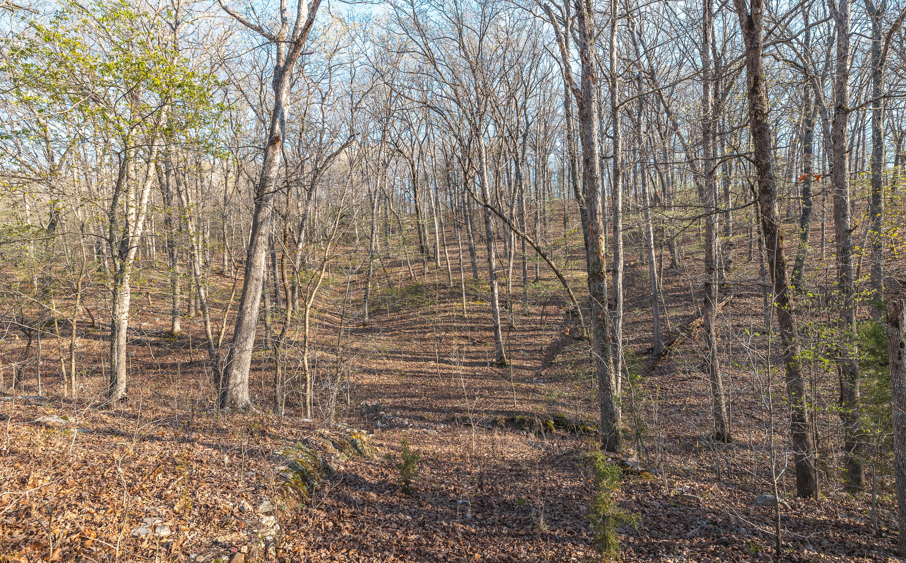 Photo 3 - Land for sale – 83  Minx Valley Drive  Roach, MO