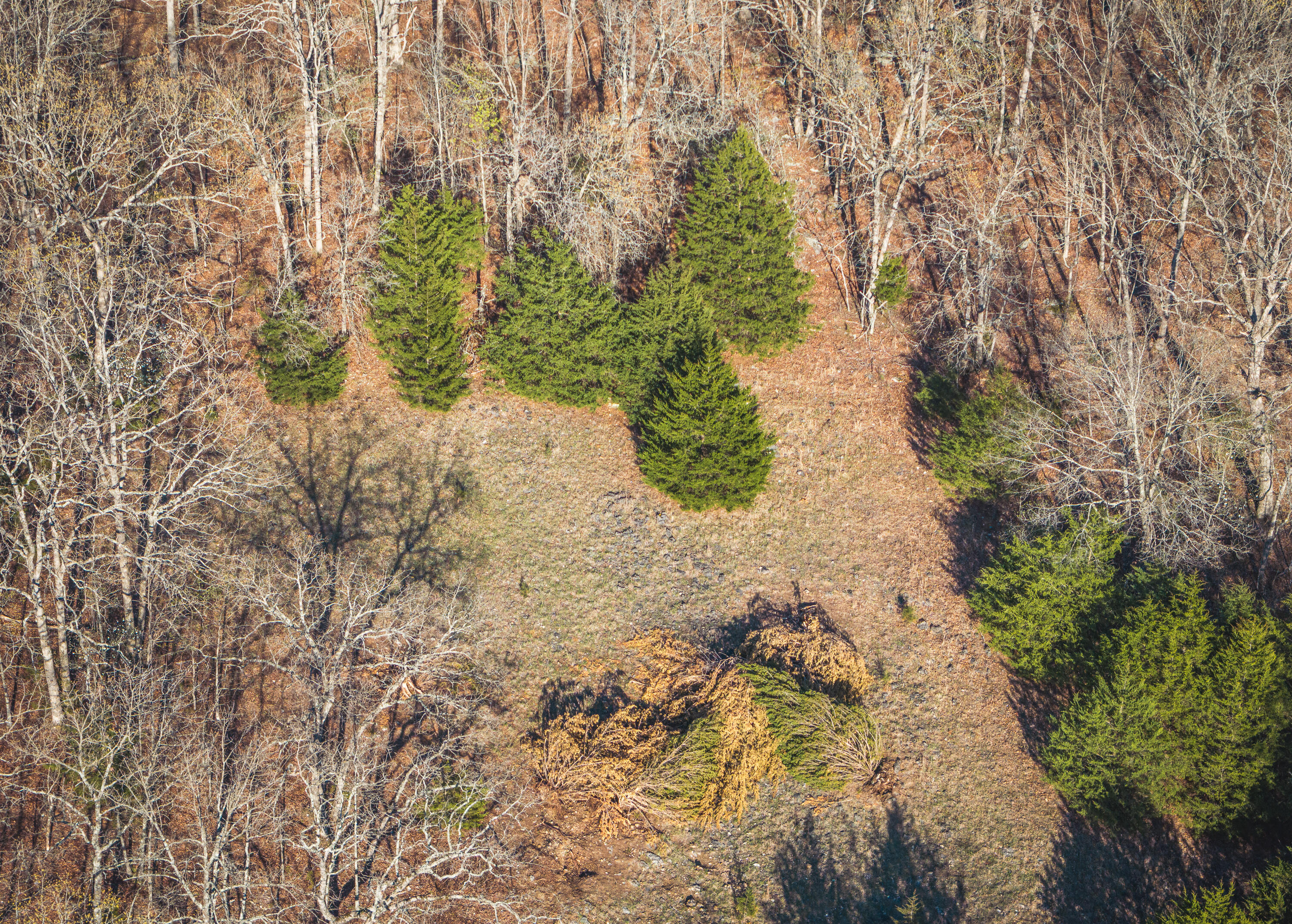 Photo 10 - Land for sale – 83  Minx Valley Drive  Roach, MO