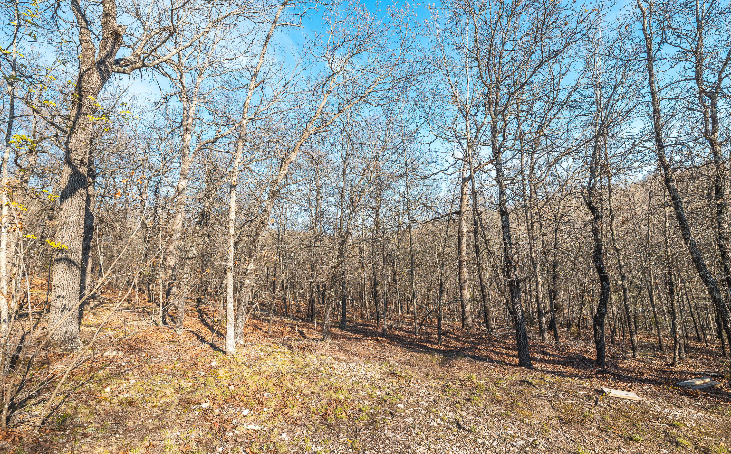 Photo 19 - Land for sale – 83  Minx Valley Drive  Roach, MO
