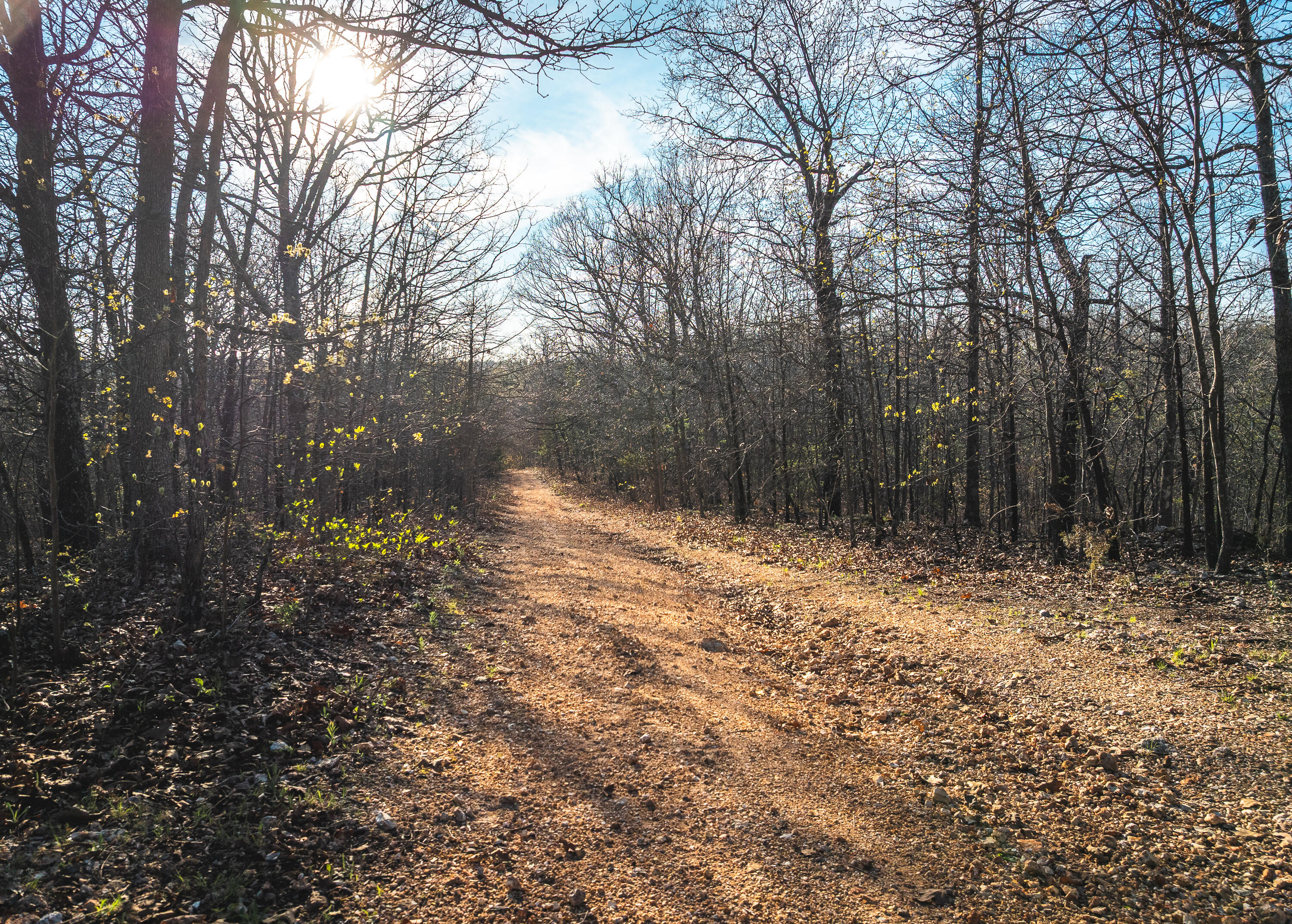 Photo 18 - Land for sale – 83  Minx Valley Drive  Roach, MO