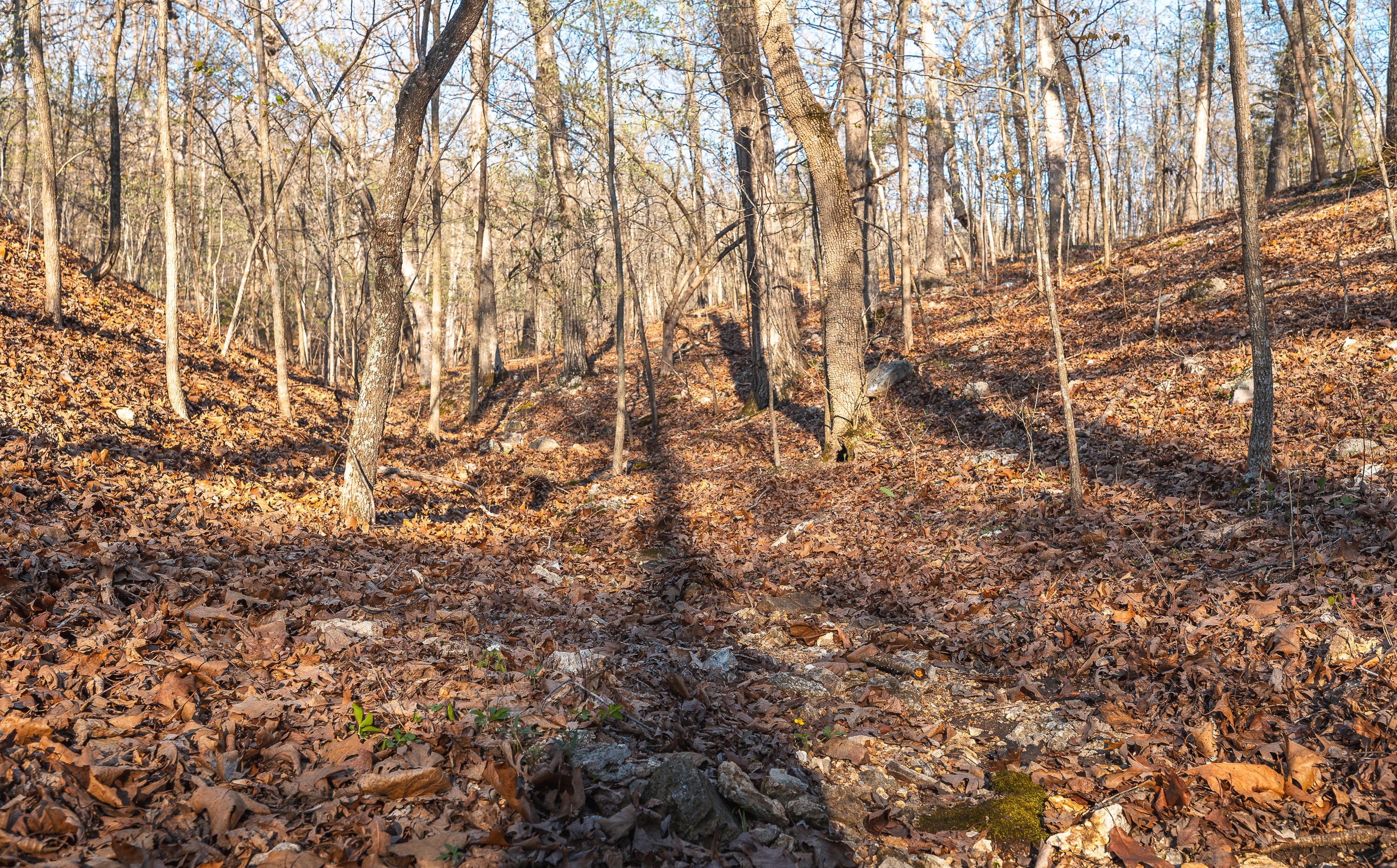 Photo 29 - Land for sale – 83  Minx Valley Drive  Roach, MO
