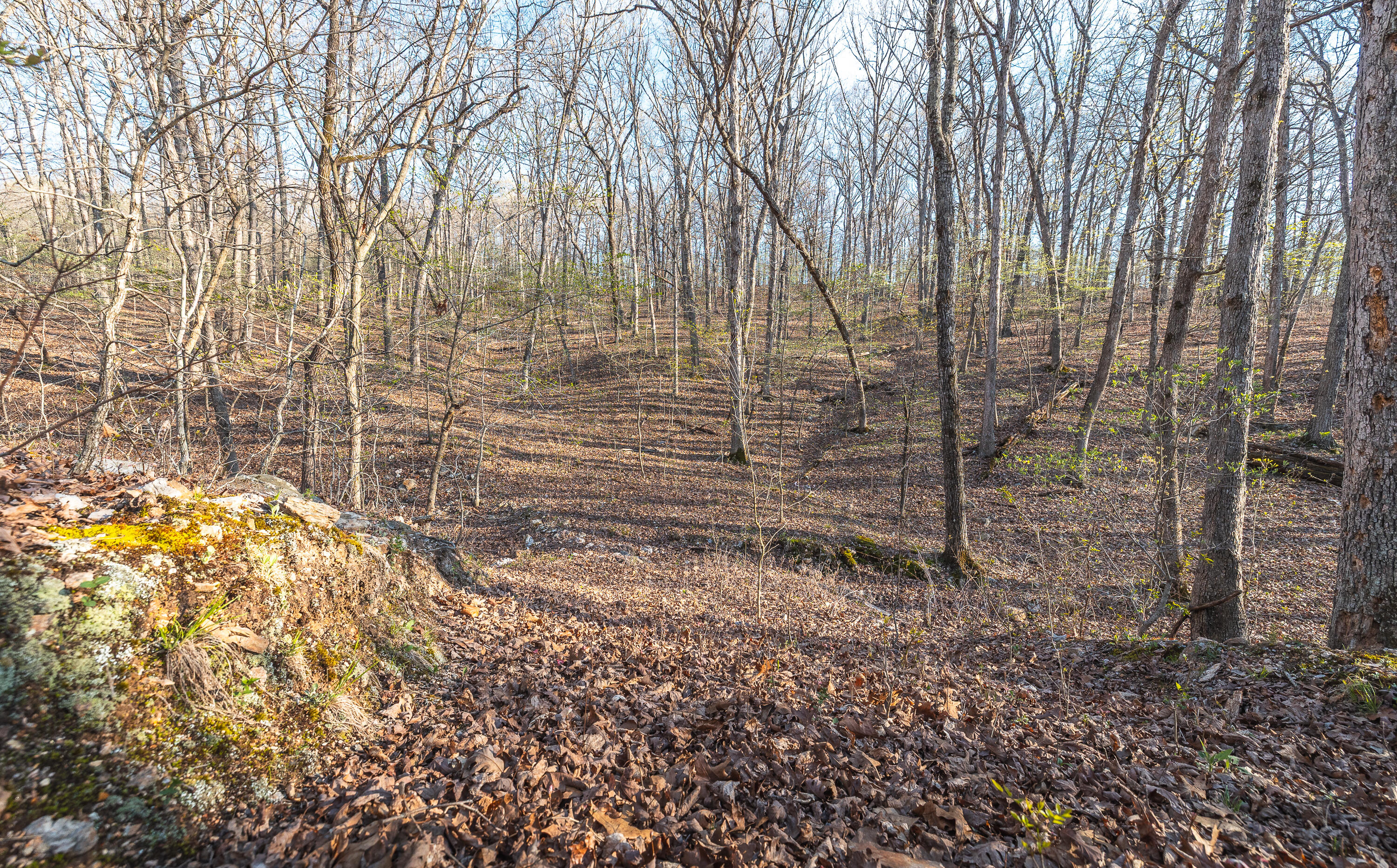 Photo 9 - Land for sale – 83  Minx Valley Drive  Roach, MO