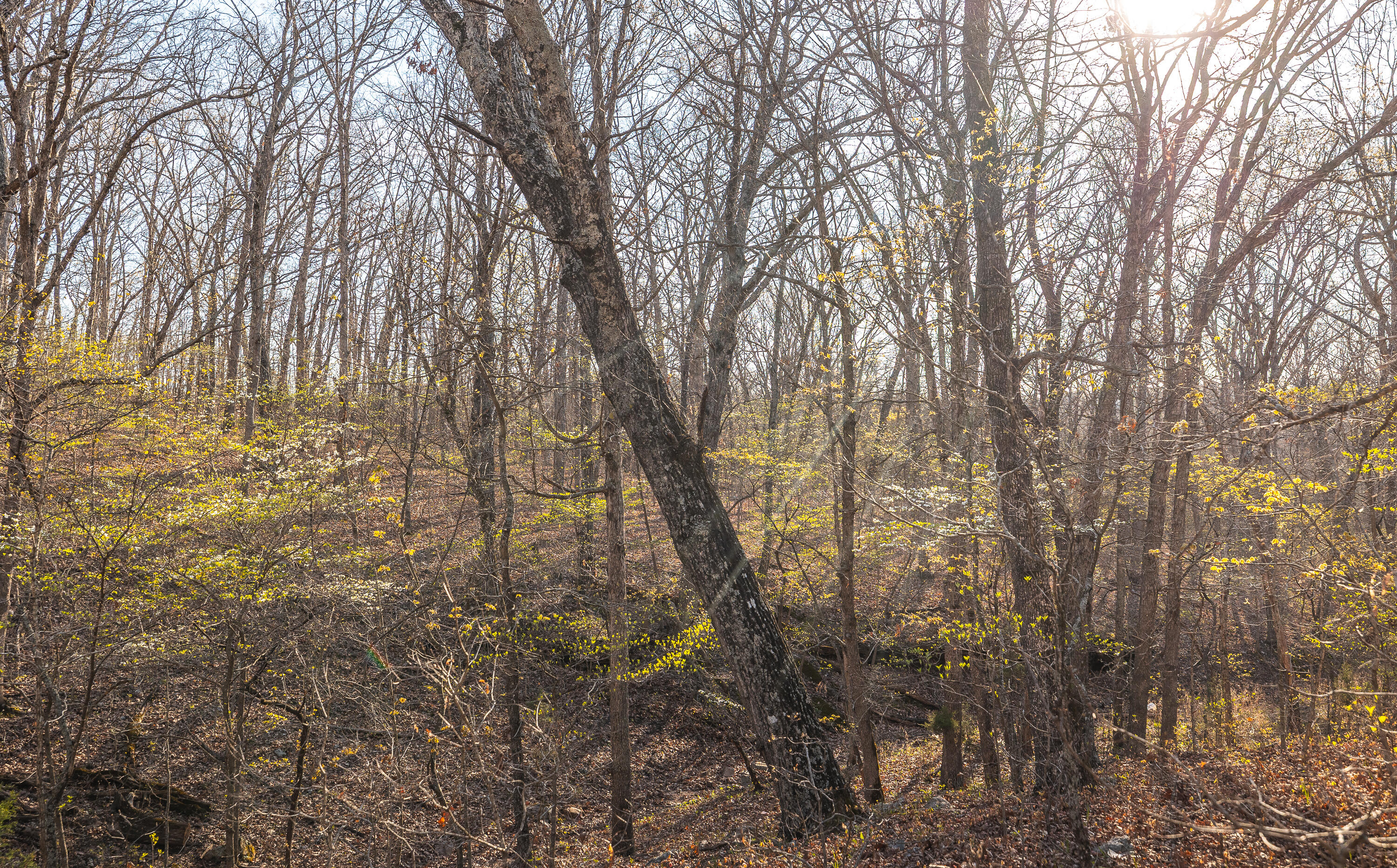Photo 34 - Land for sale – 83  Minx Valley Drive  Roach, MO