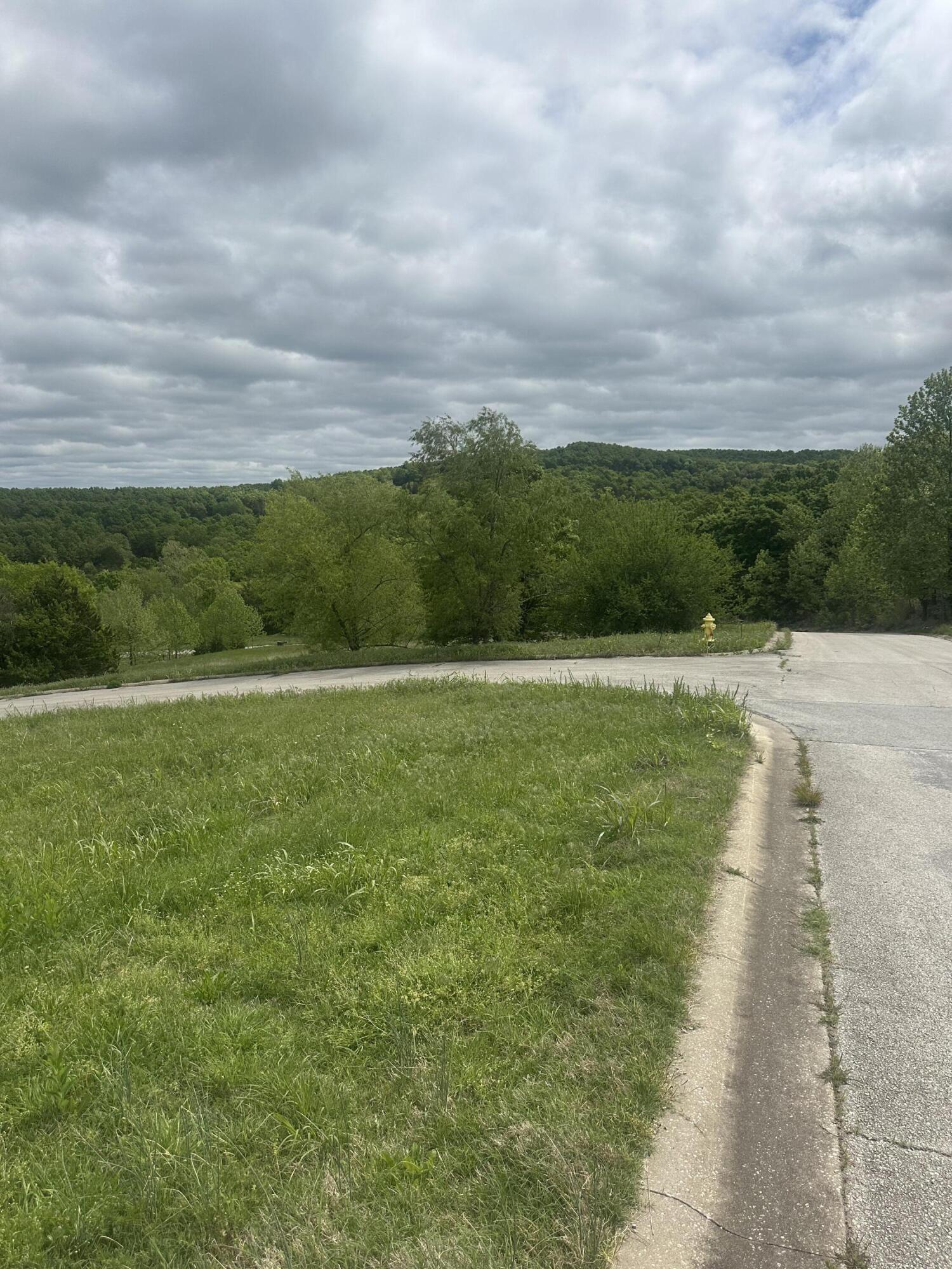 Photo 11 - Land for sale – Tbd  Pinnacle   Hollister, MO