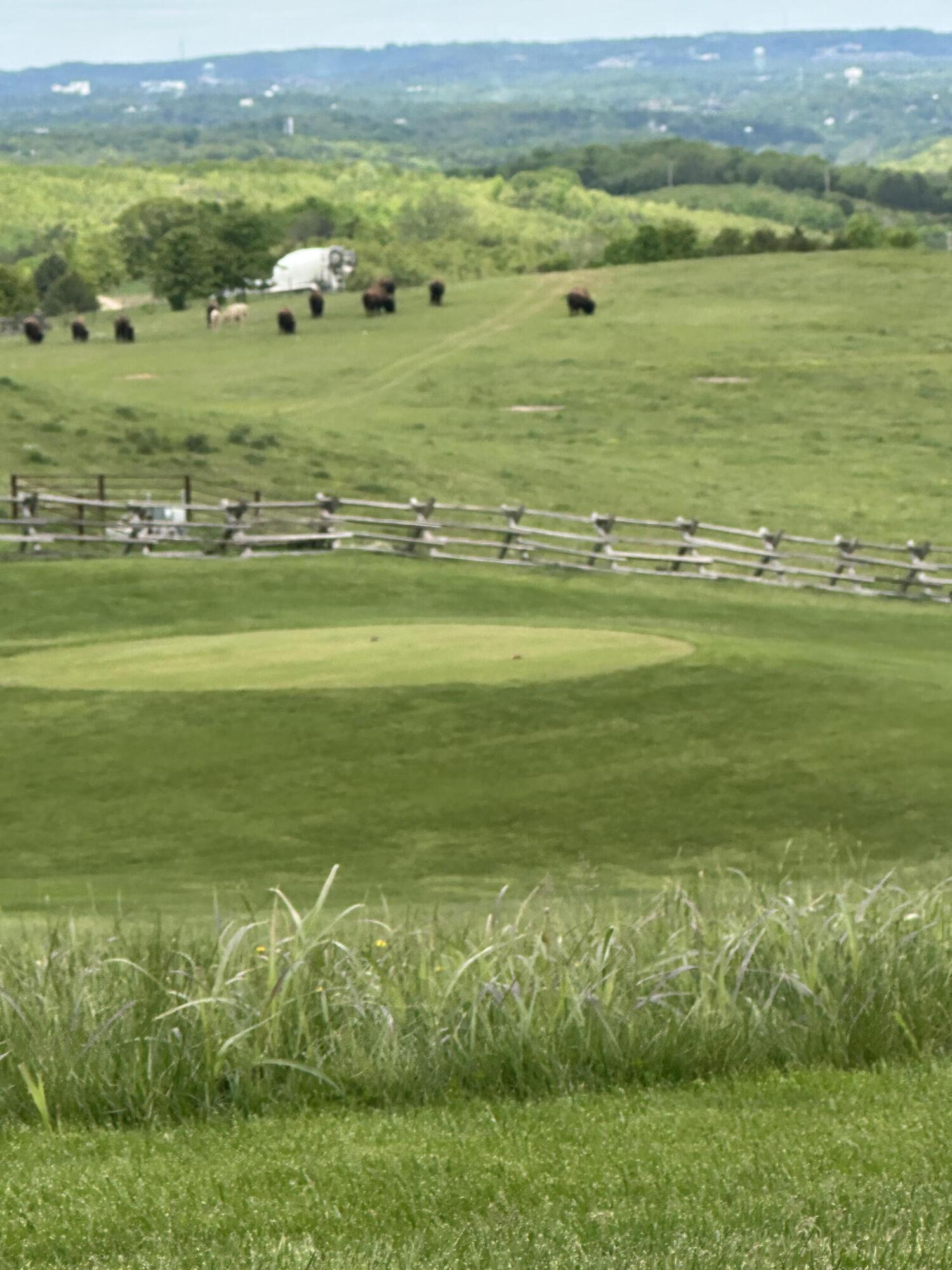 Photo 5 - Land for sale – Tbd 2  Pinnacle   Hollister, MO