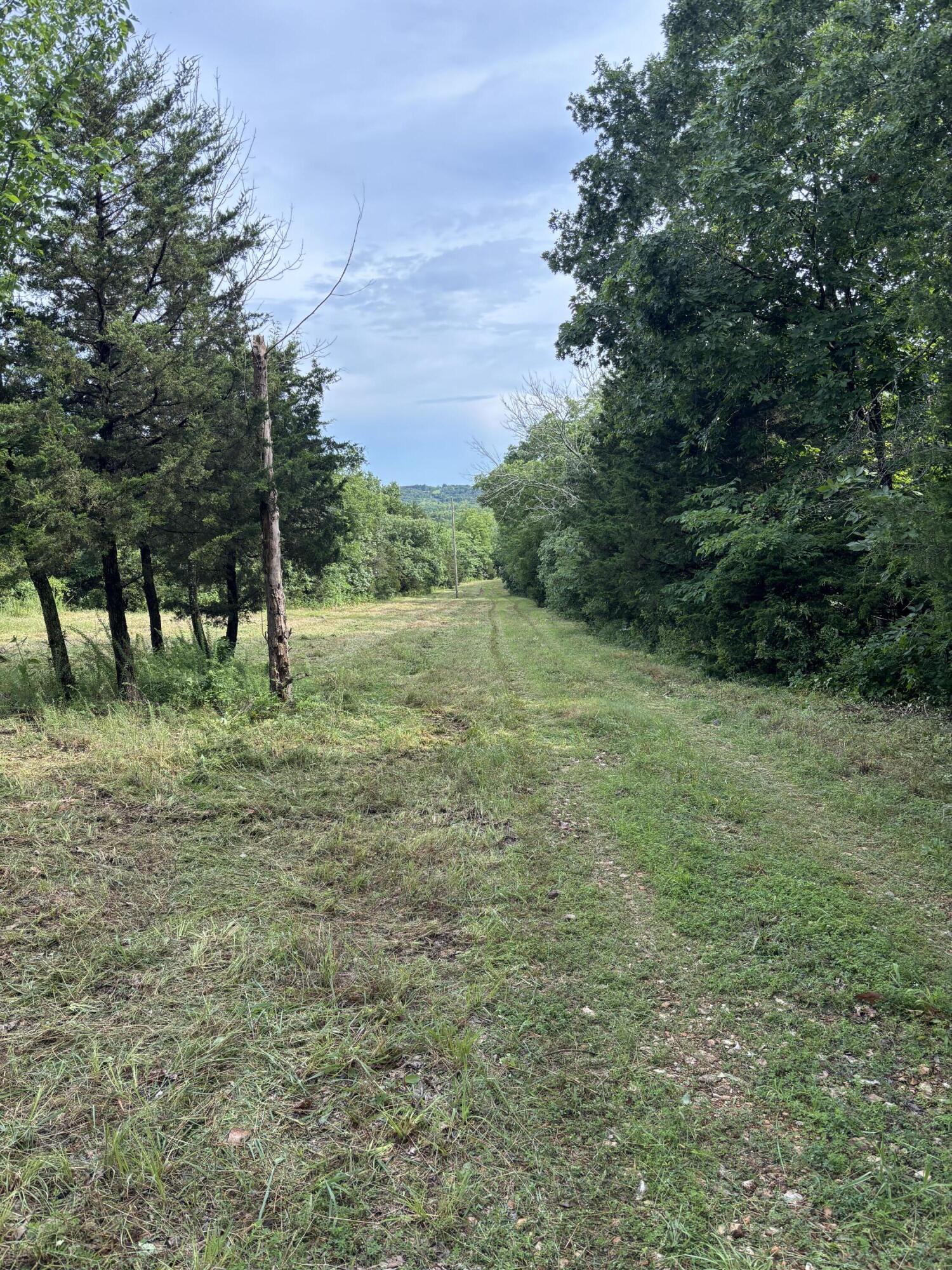 Land for sale – 000  Highway T   Weaubleau, MO