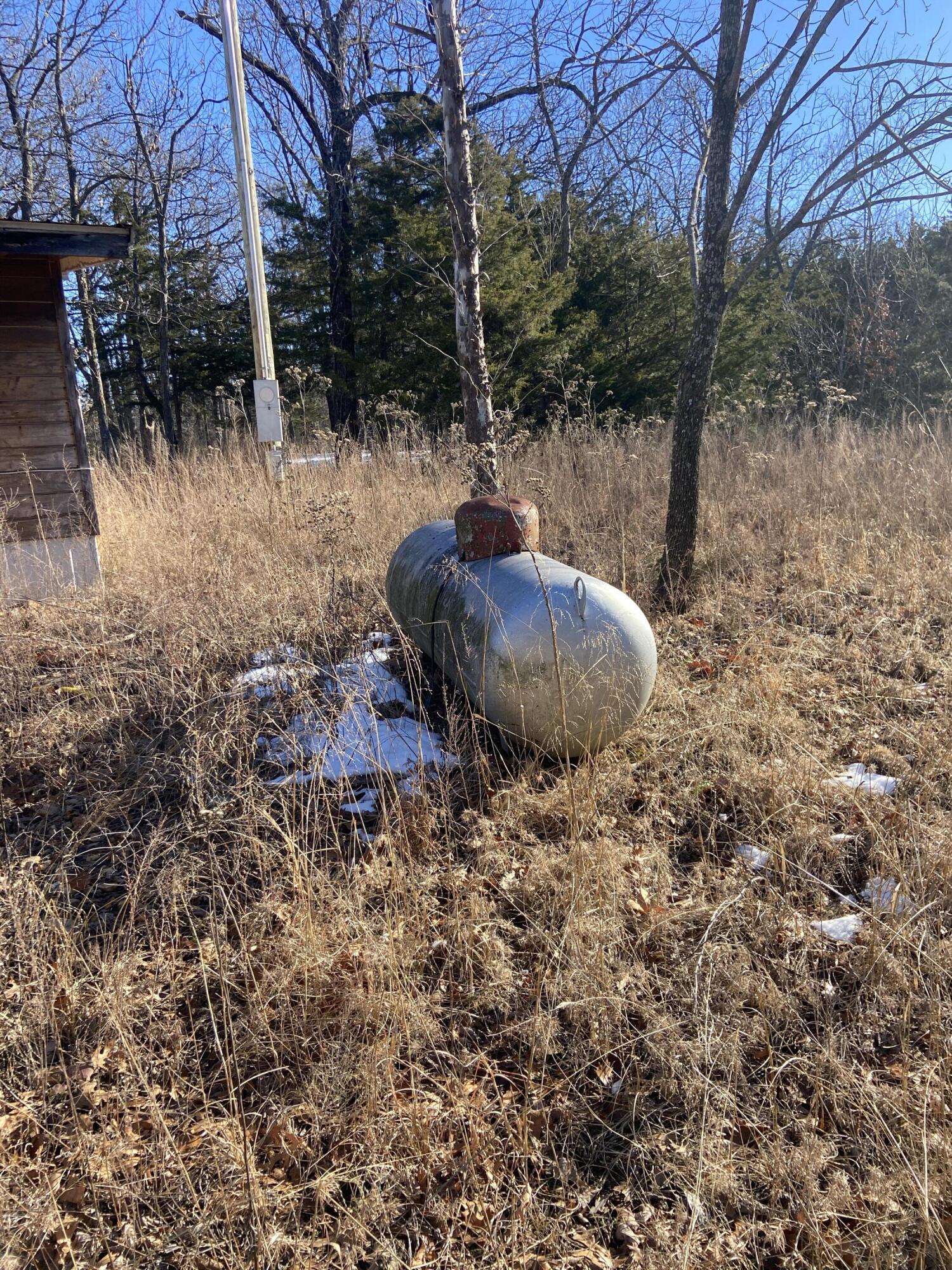 Photo 17 - Land for sale – 000  Highway T   Weaubleau, MO