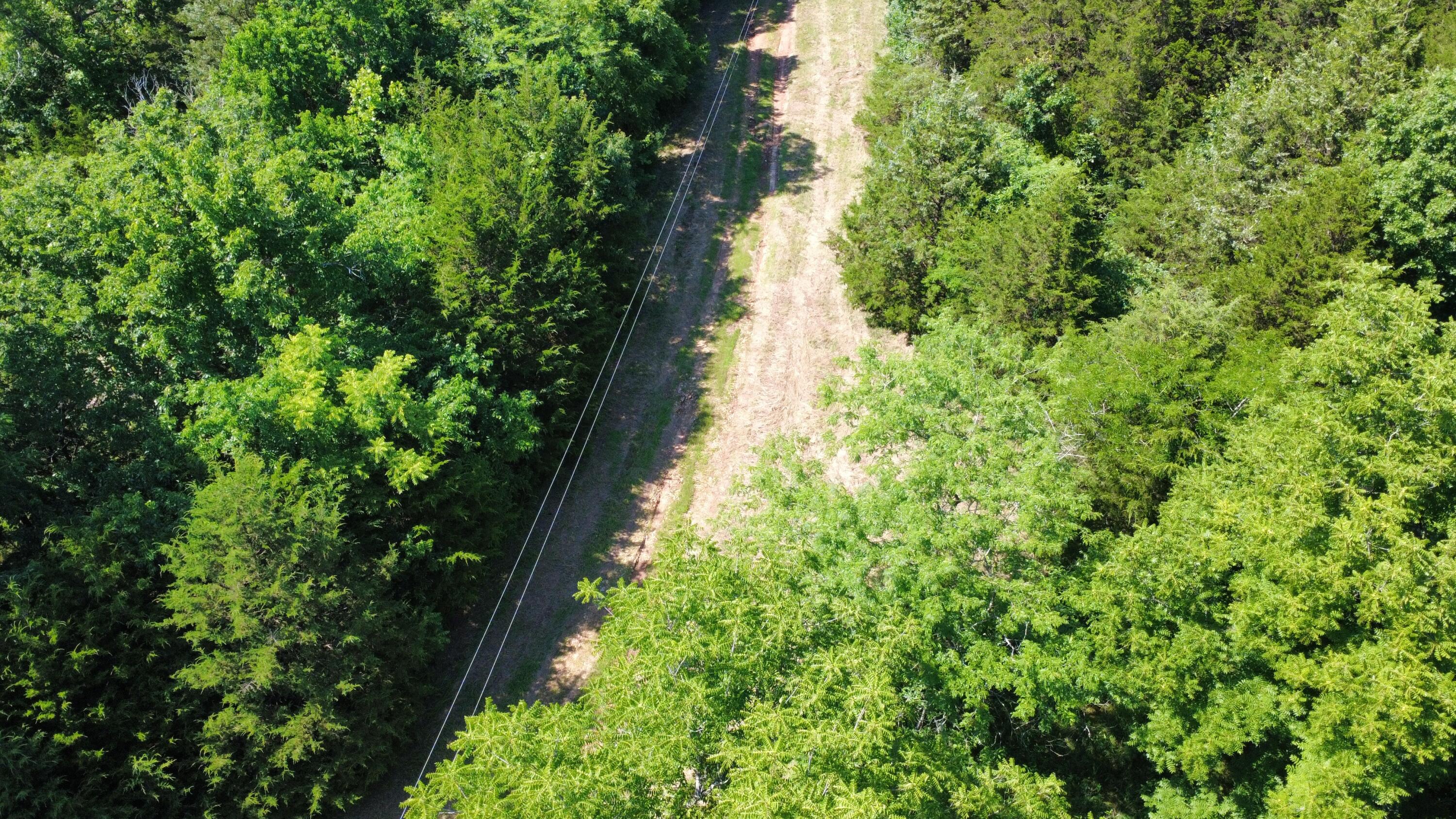 Photo 9 - Land for sale – 000  Highway T   Weaubleau, MO