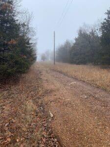 Photo 7 - Land for sale – 000  Highway T   Weaubleau, MO