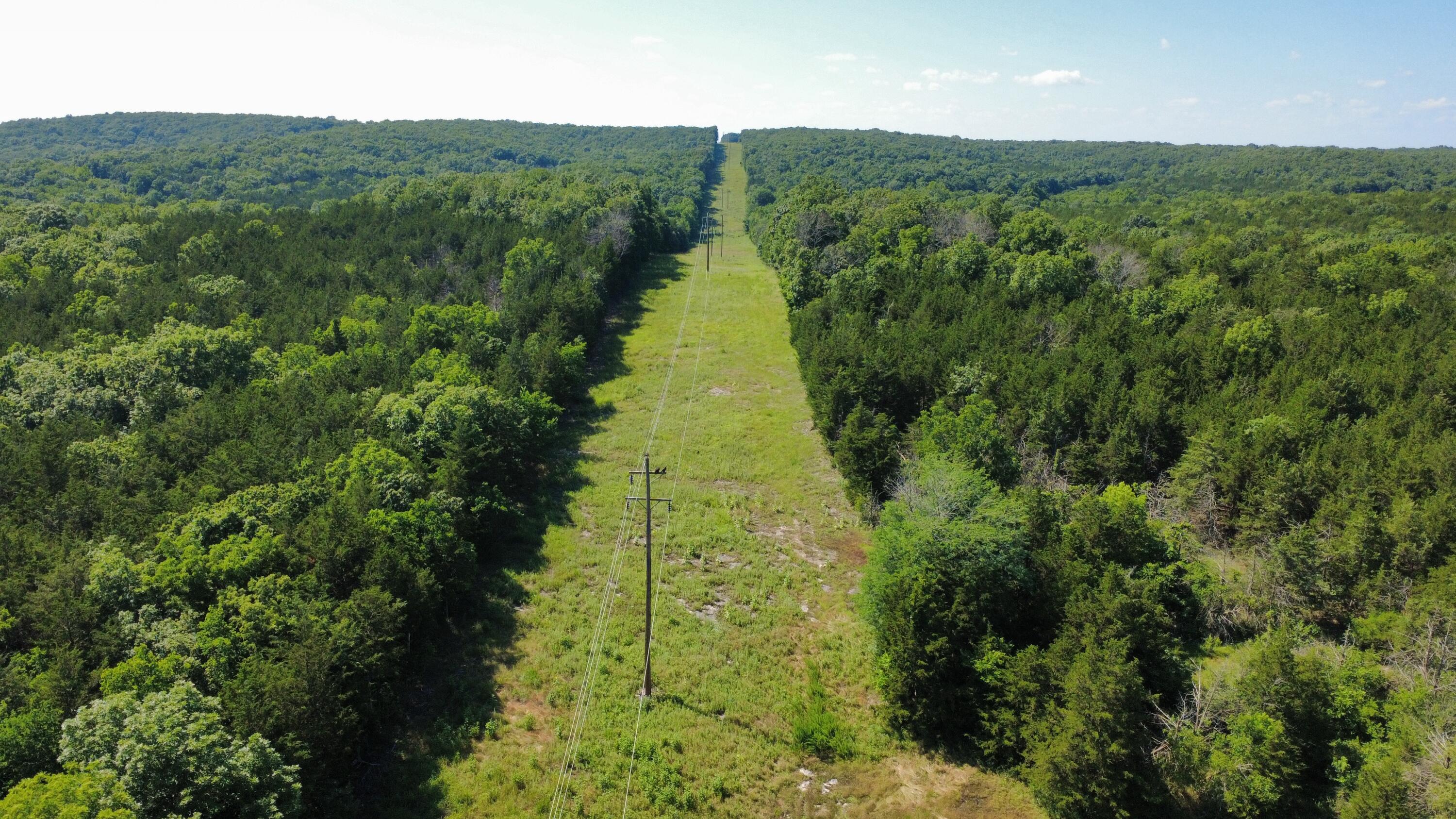 Photo 14 - Land for sale – 000  Highway T   Weaubleau, MO