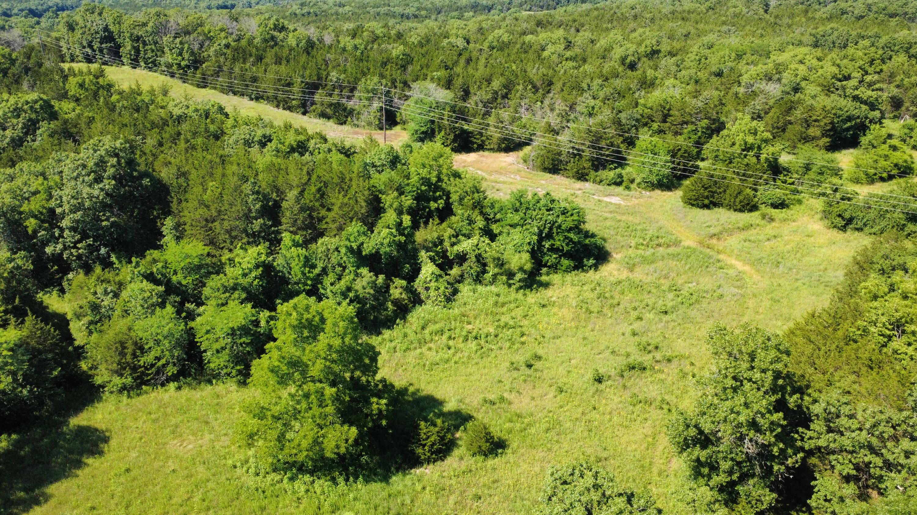 Photo 11 - Land for sale – 000  Highway T   Weaubleau, MO