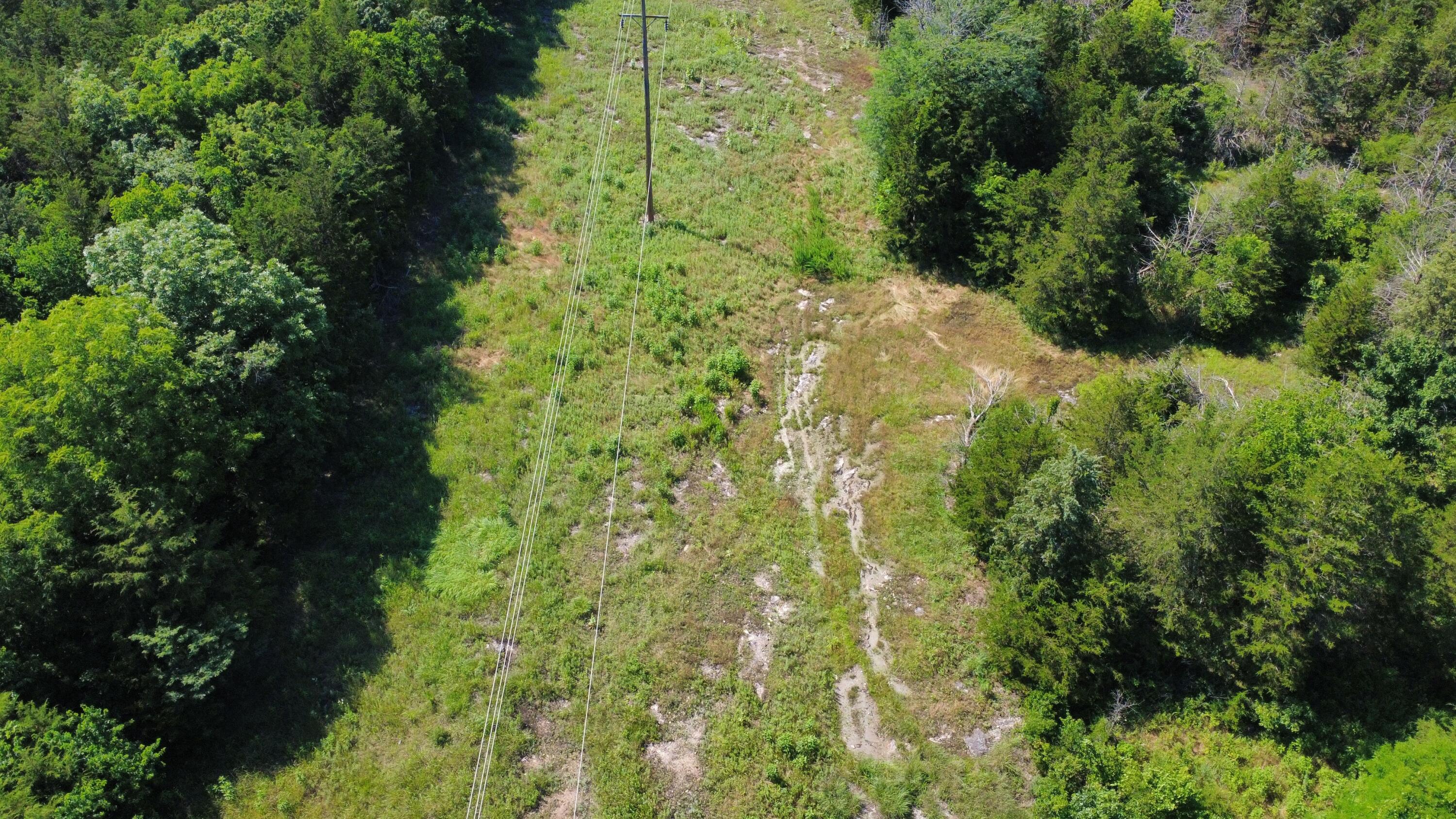 Photo 15 - Land for sale – 000  Highway T   Weaubleau, MO