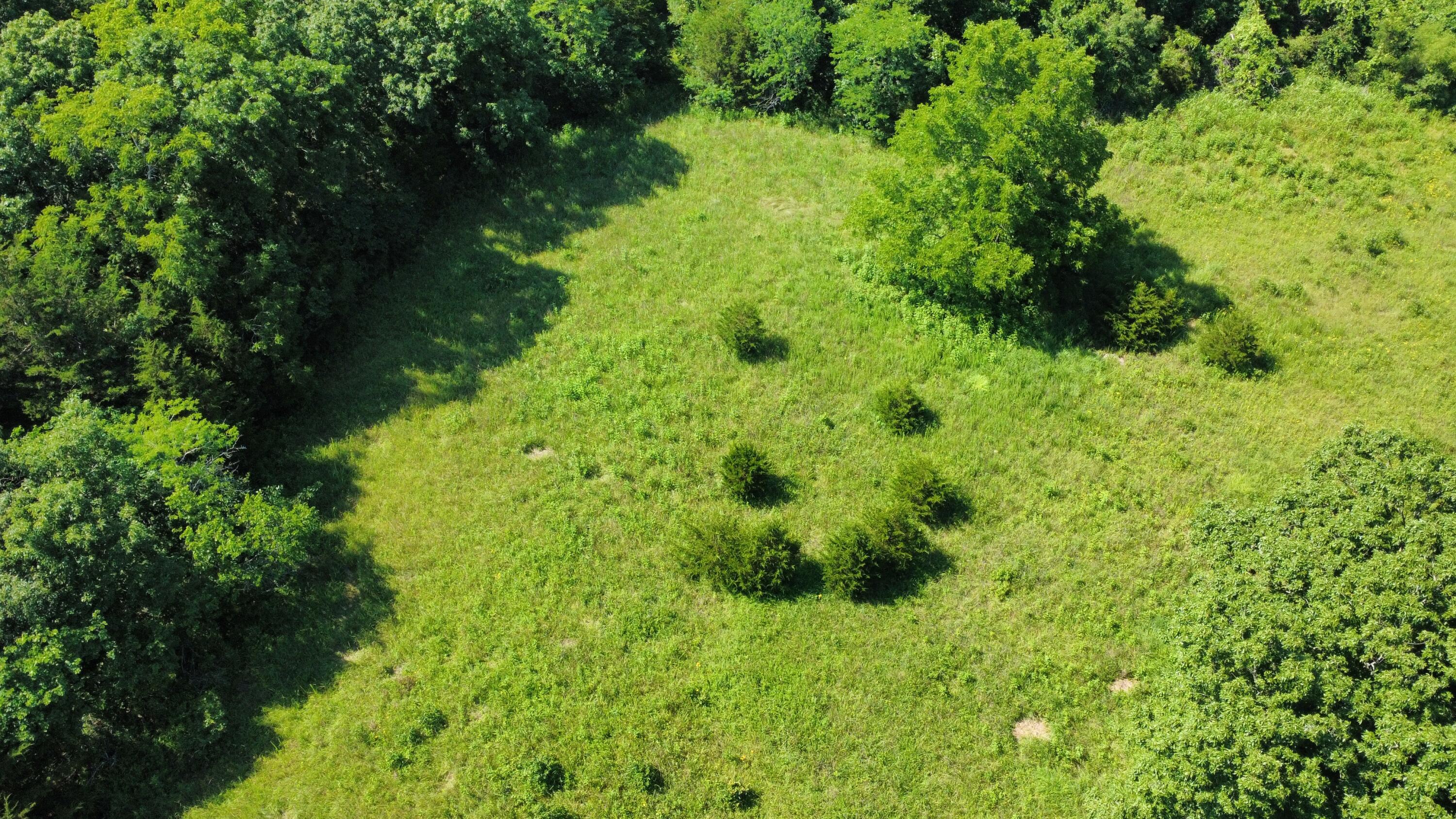 Photo 12 - Land for sale – 000  Highway T   Weaubleau, MO