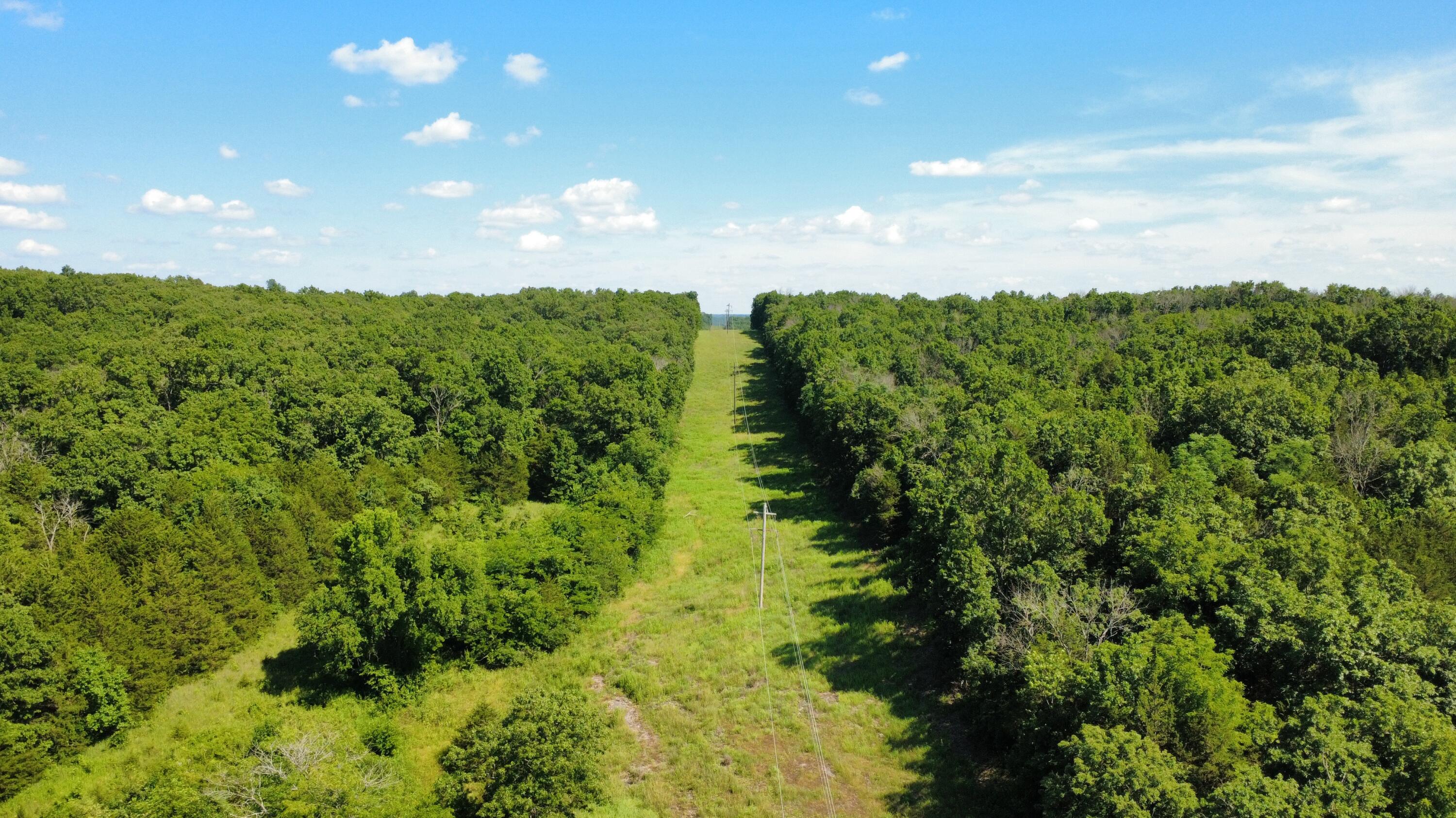 Photo 13 - Land for sale – 000  Highway T   Weaubleau, MO