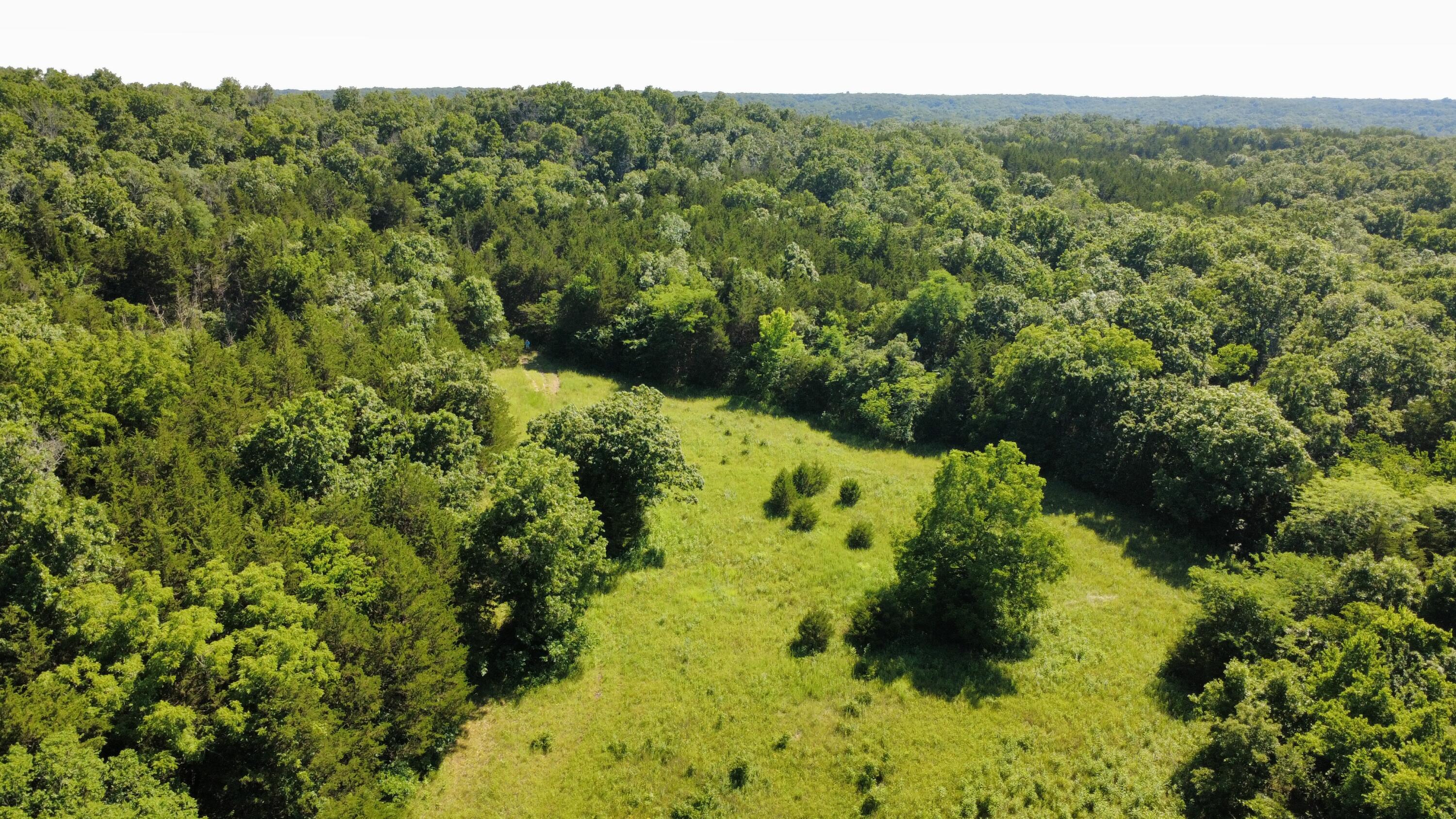 Photo 16 - Land for sale – 000  Highway T   Weaubleau, MO