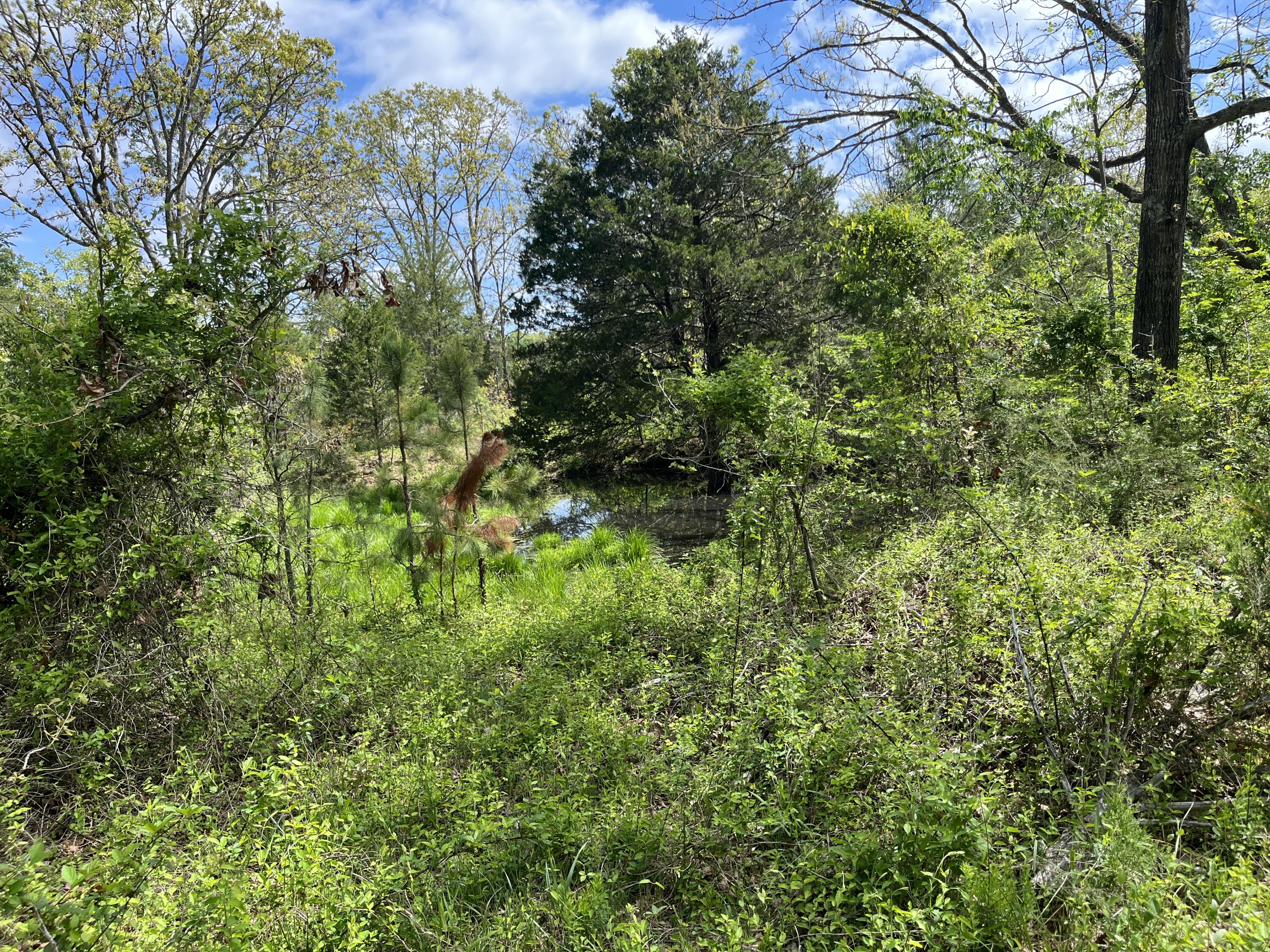 Photo 17 - Land for sale – 000  County Road 350   Drury, MO