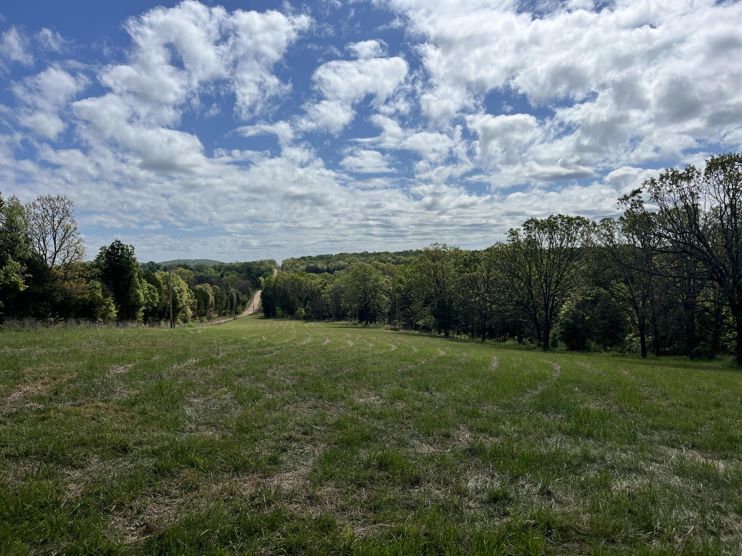Photo 2 - Land for sale – 000  County Road 350   Drury, MO