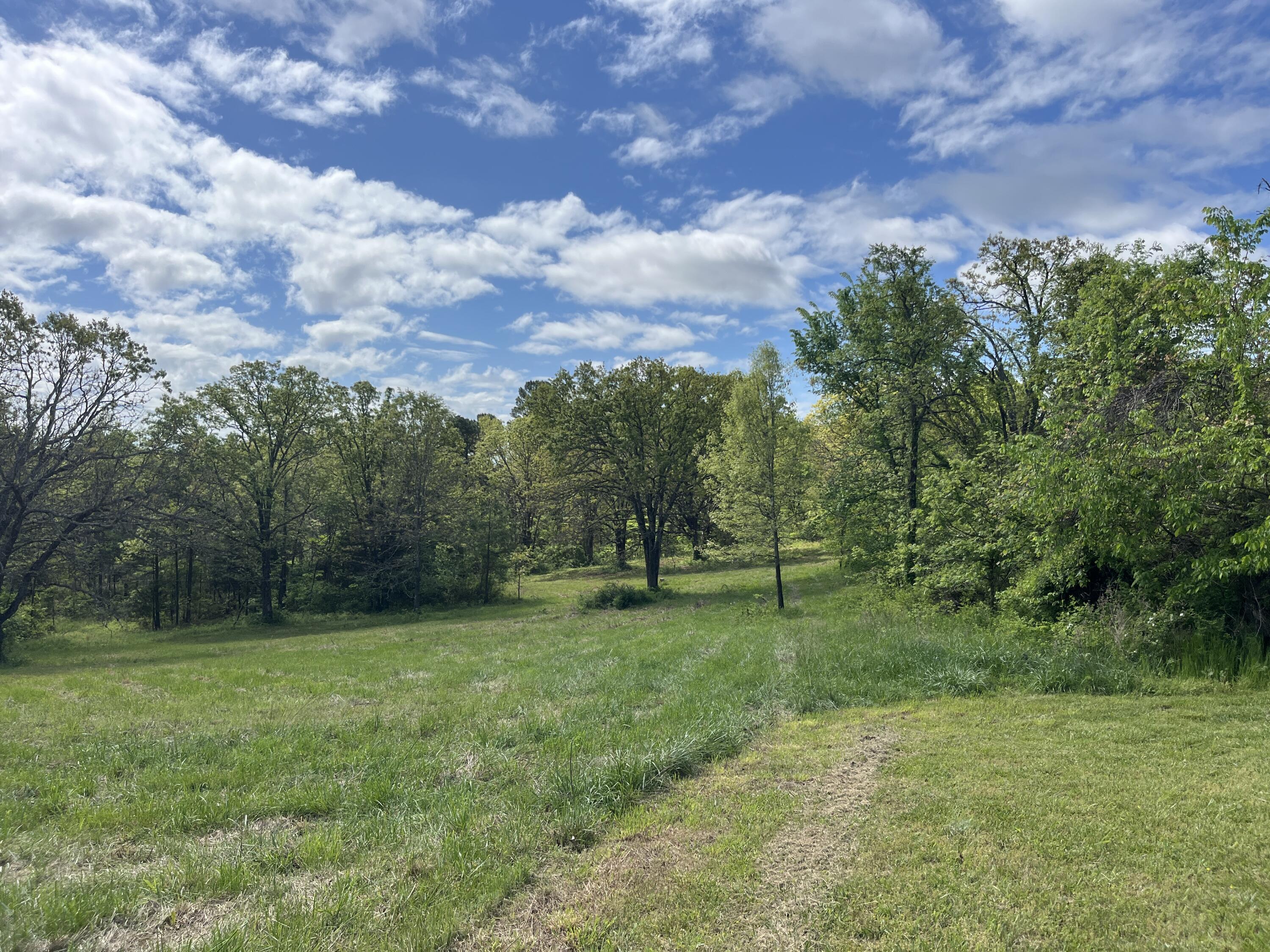 Photo 3 - Land for sale – 000  County Road 350   Drury, MO