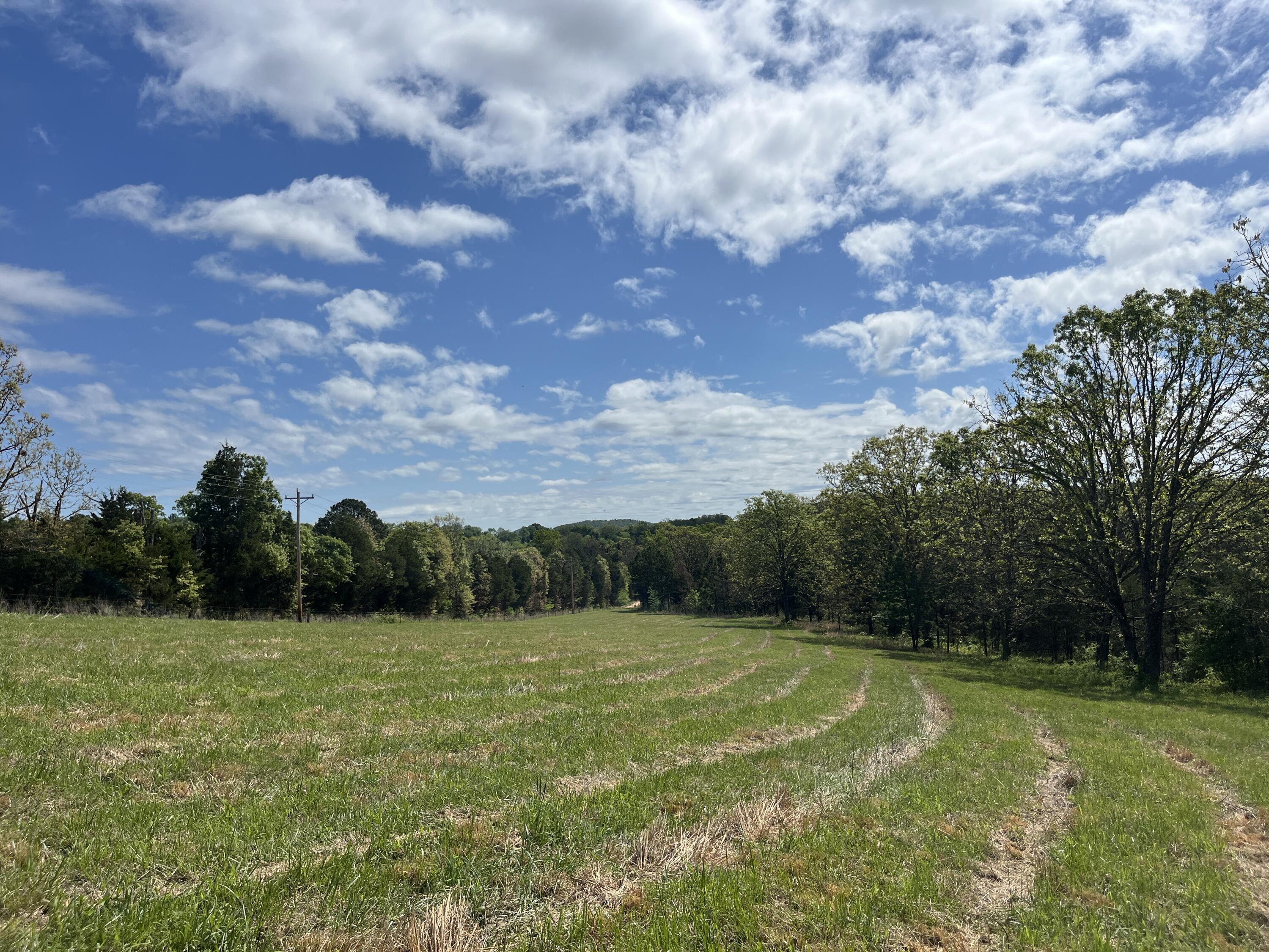 Land for sale – 000  County Road 350   Drury, MO