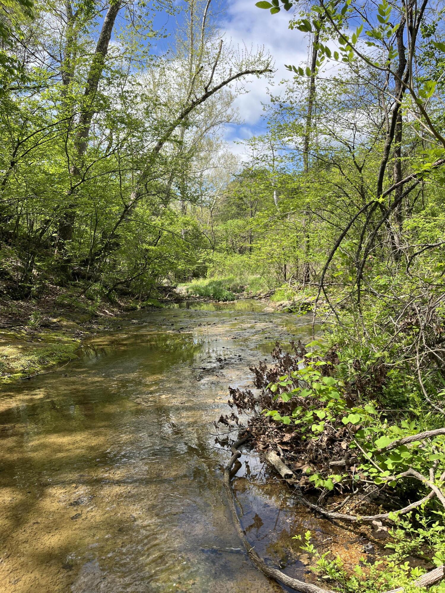 Photo 12 - Land for sale – 000  County Road 350   Drury, MO