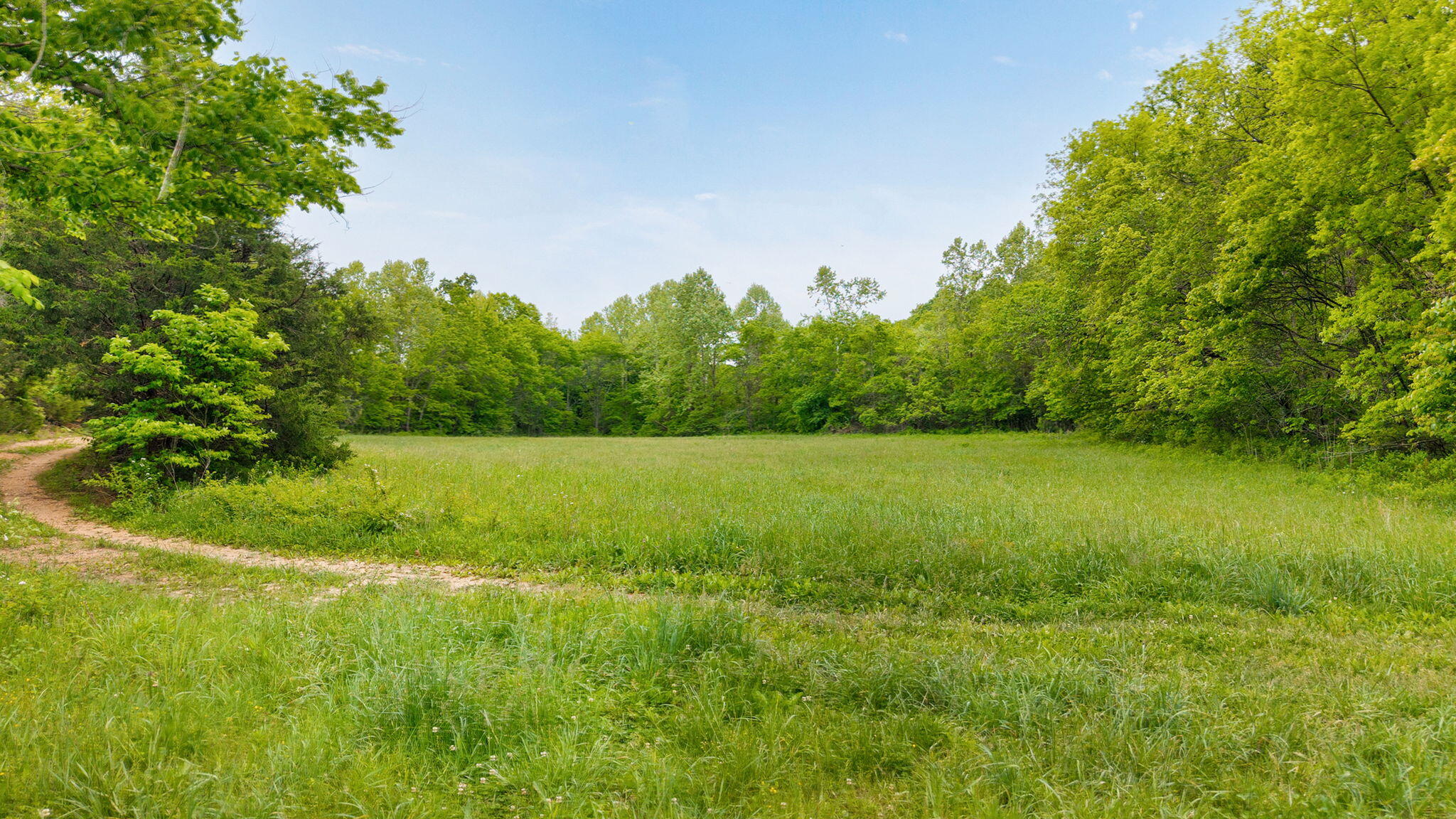 Photo 5 - Land for sale – 000  Woodland Drive  Hartville, MO