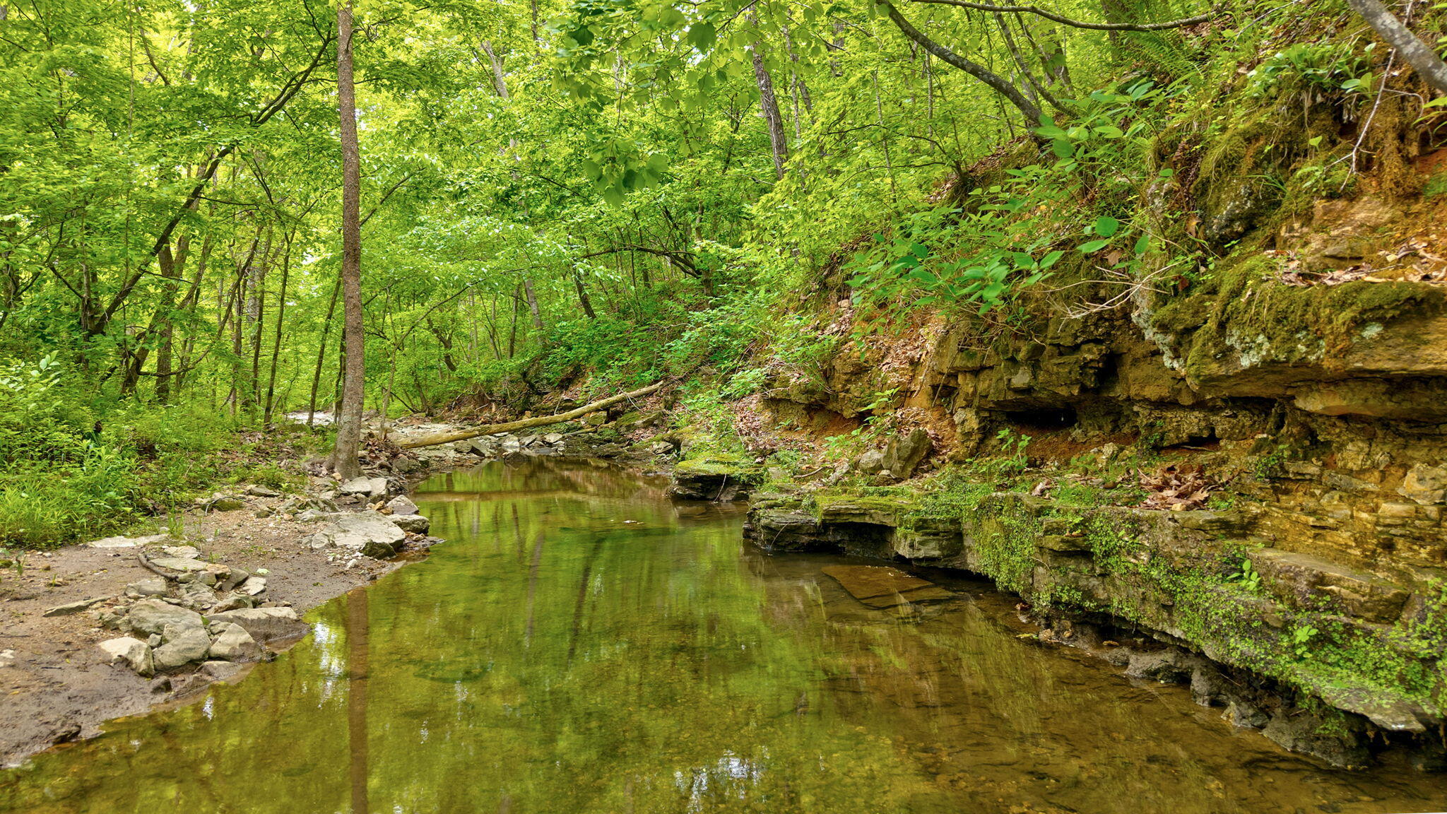 Photo 3 - Land for sale – 000  Woodland Drive  Hartville, MO