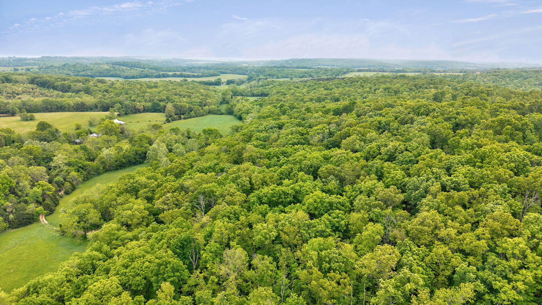 Photo 11 - Land for sale – 000  Woodland Drive  Hartville, MO