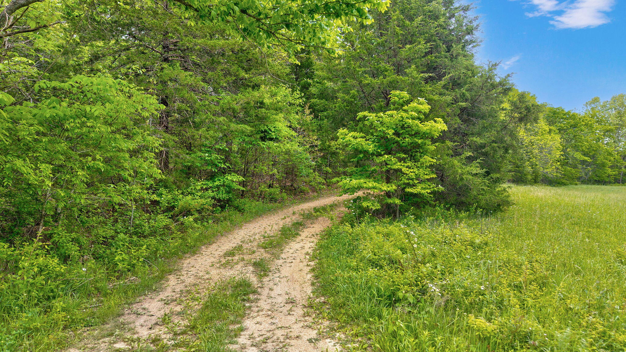 Photo 16 - Land for sale – 000  Woodland Drive  Hartville, MO