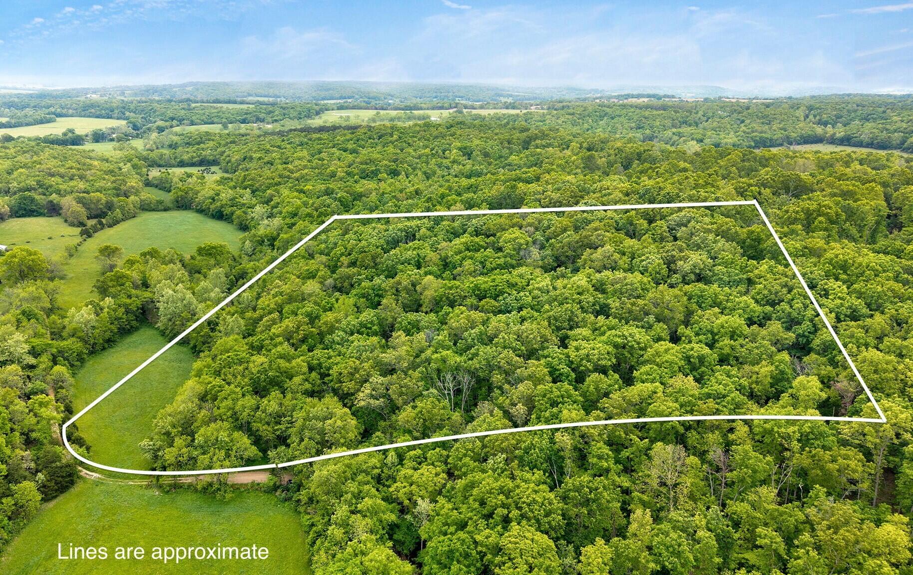 Photo 2 - Land for sale – 000  Woodland Drive  Hartville, MO