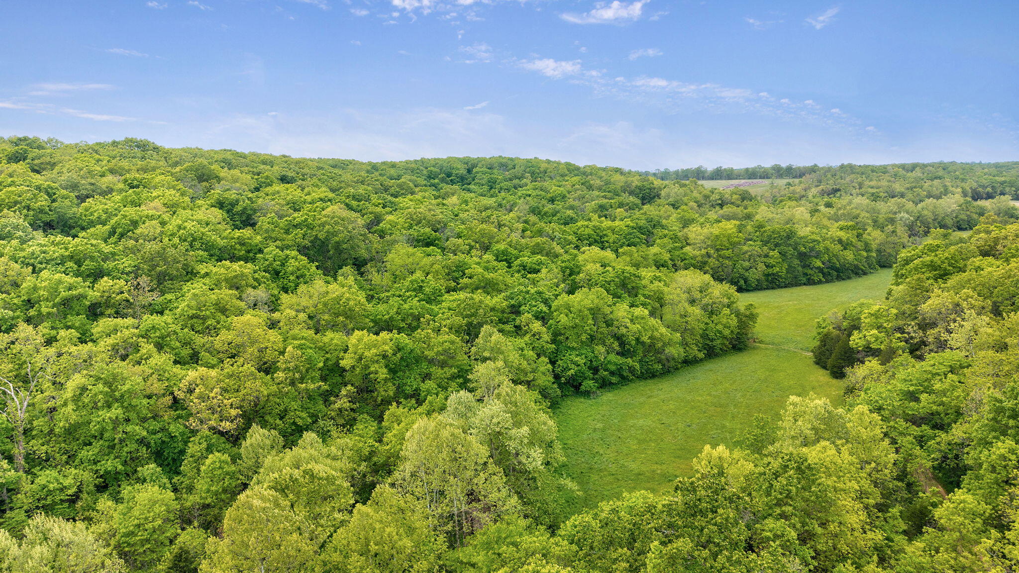 Photo 7 - Land for sale – 000  Woodland Drive  Hartville, MO