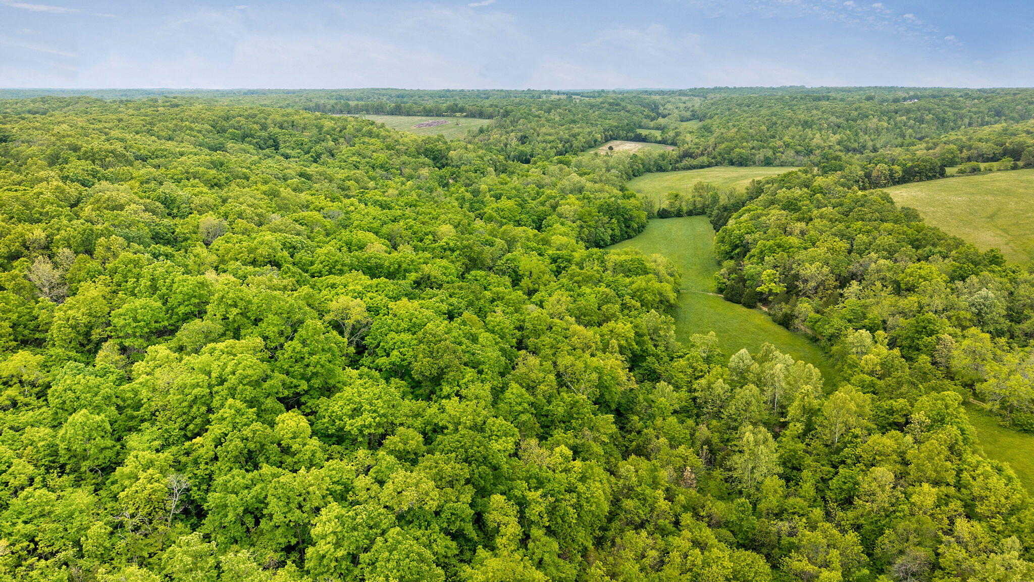 Photo 8 - Land for sale – 000  Woodland Drive  Hartville, MO