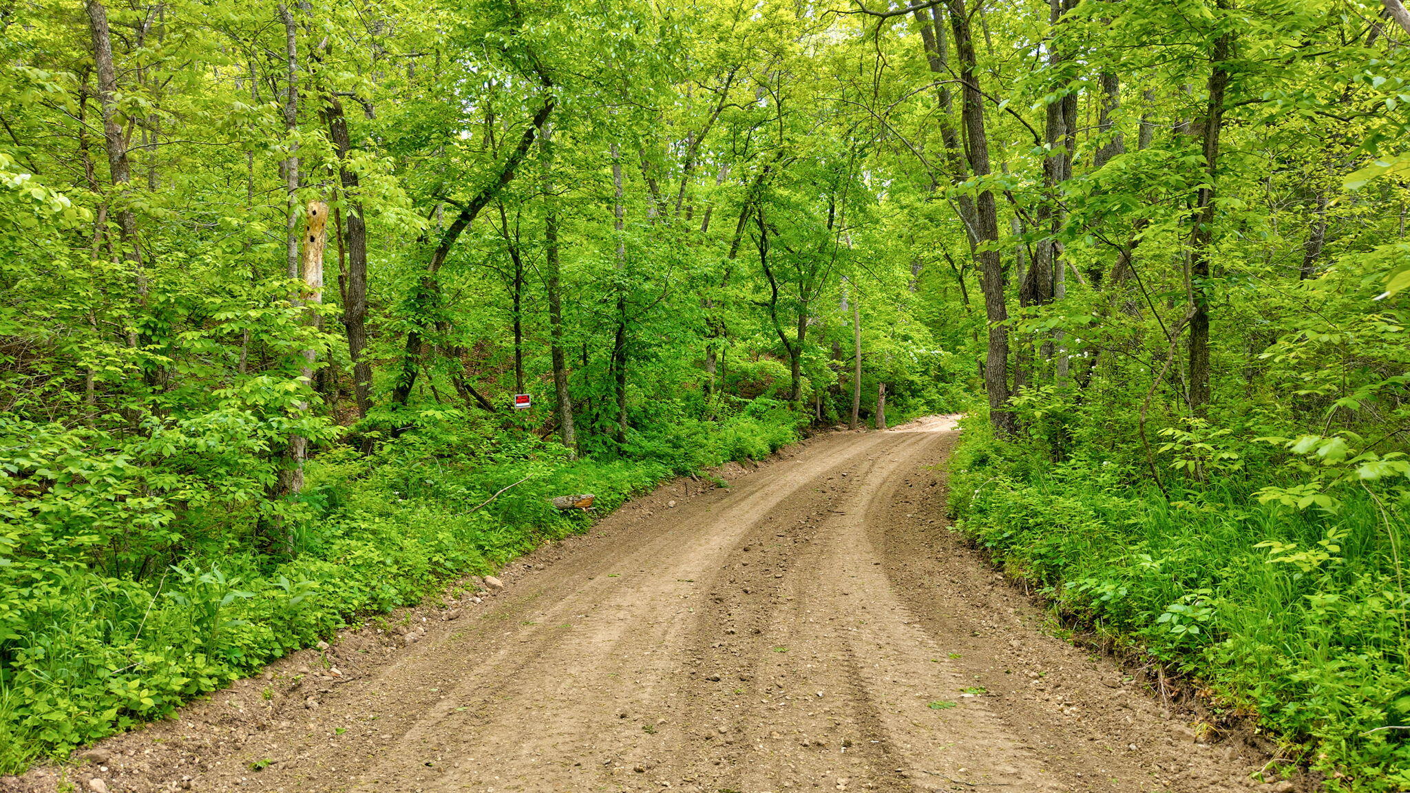 Photo 19 - Land for sale – 000  Woodland Drive  Hartville, MO